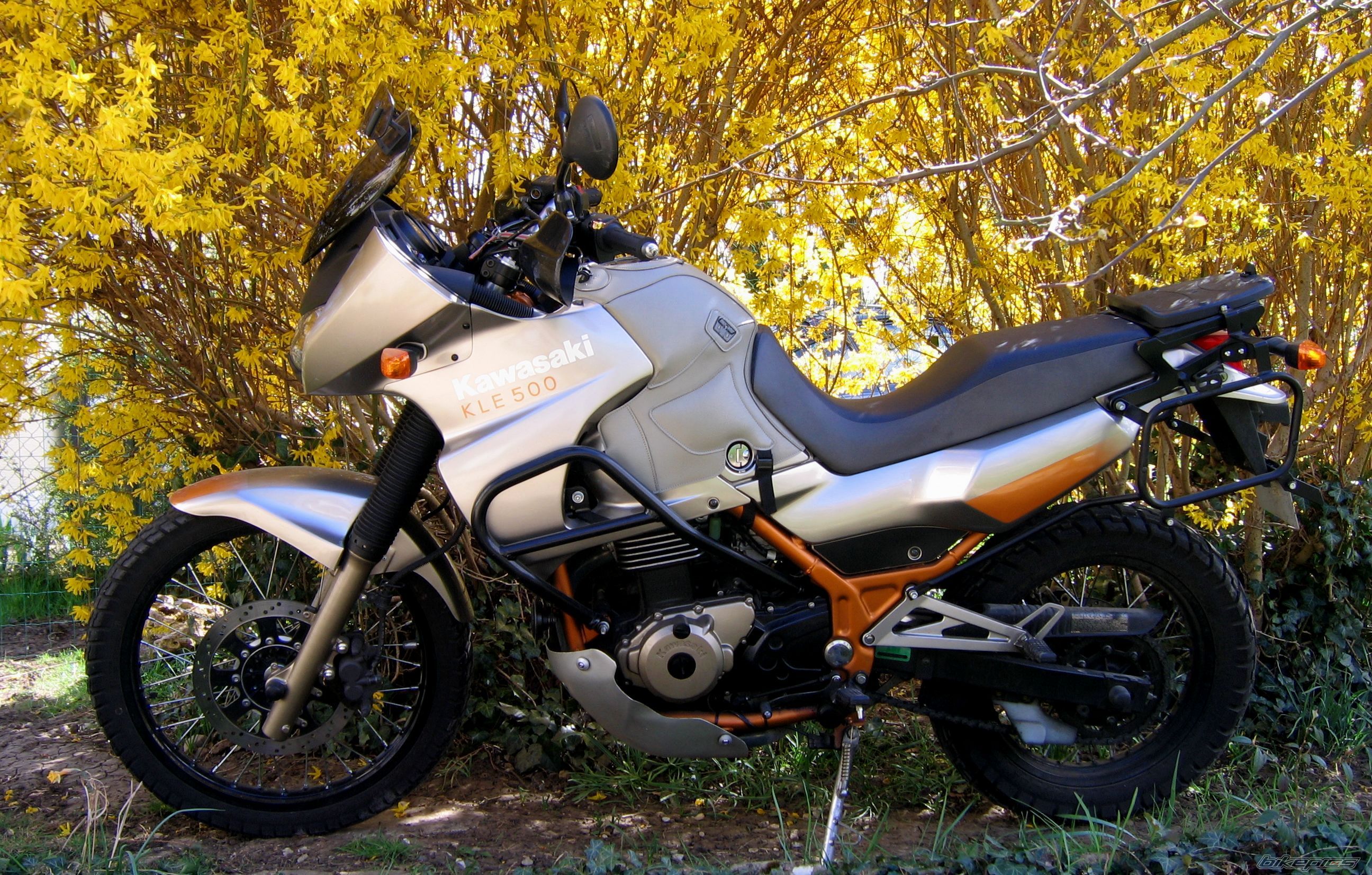 2005 KAWASAKI KLE 500 | Picture 2653048 motorcycle photo