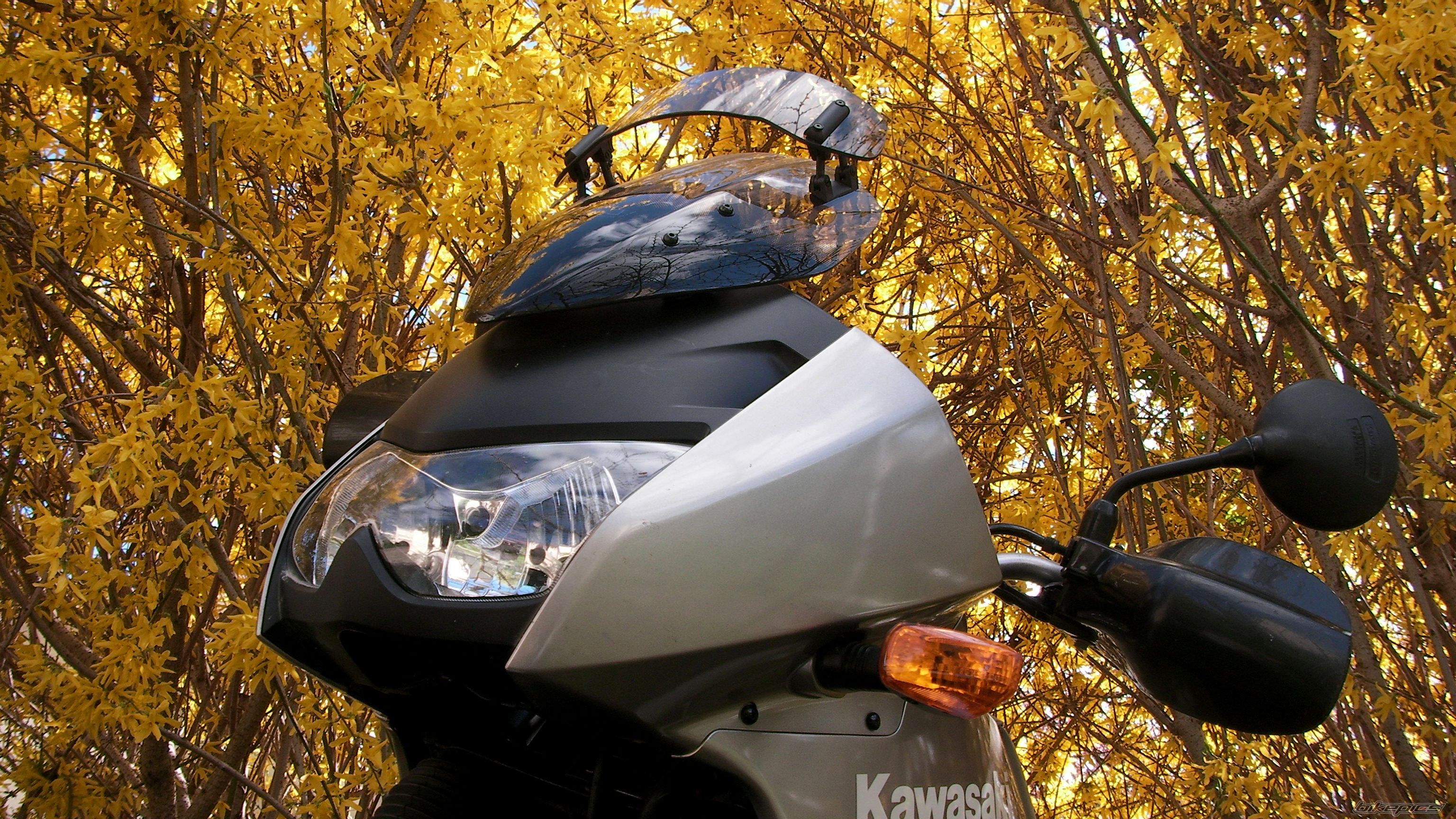 2005 KAWASAKI KLE 500 | Picture 2653049 motorcycle photo