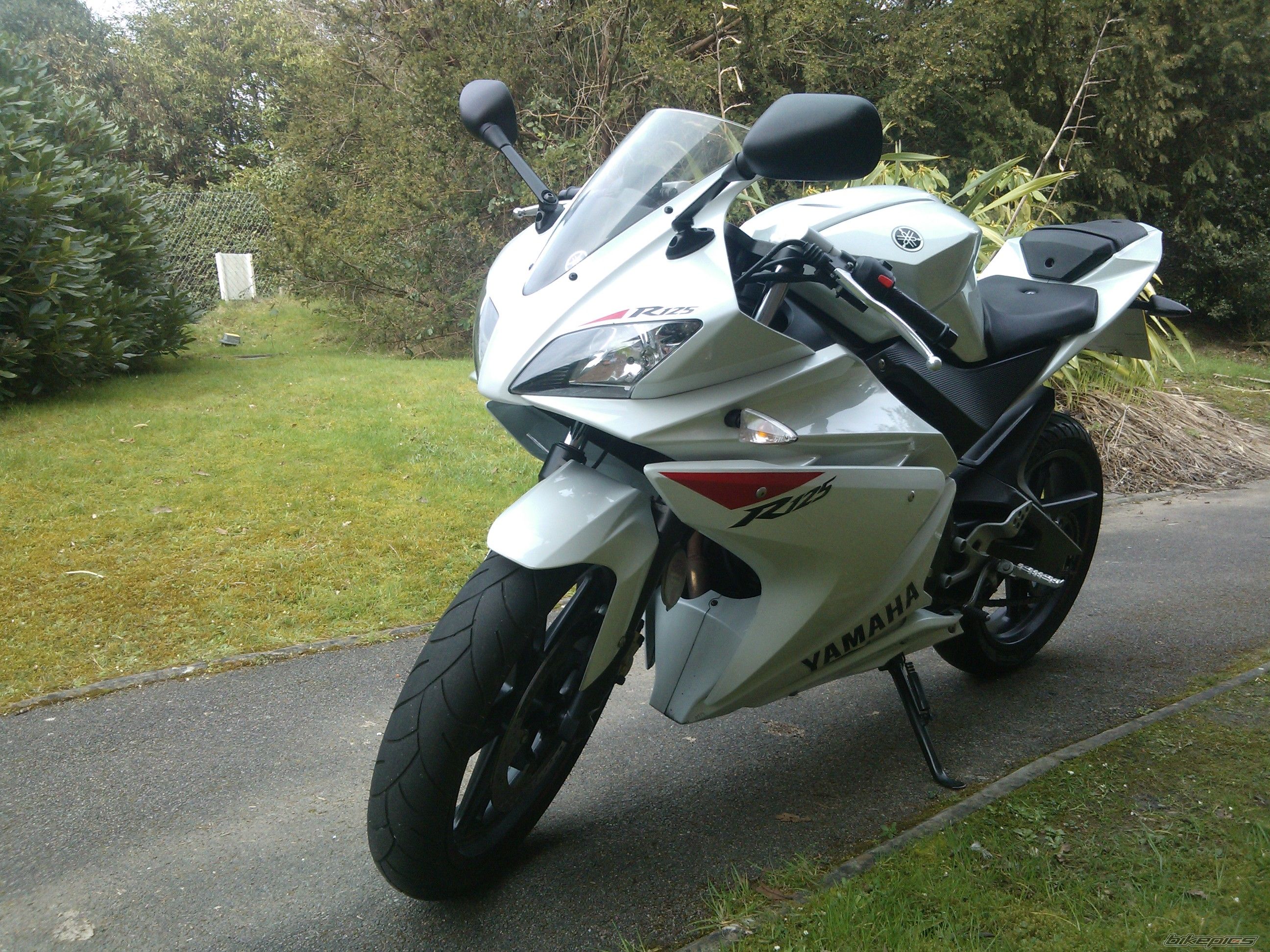 2010 YAMAHA YZF R125 | Picture 2655028 motorcycle photo