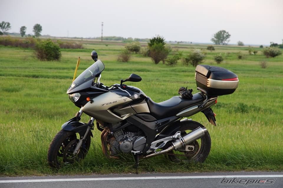 2005 YAMAHA TDM 900 | Picture 2656421 motorcycle photo