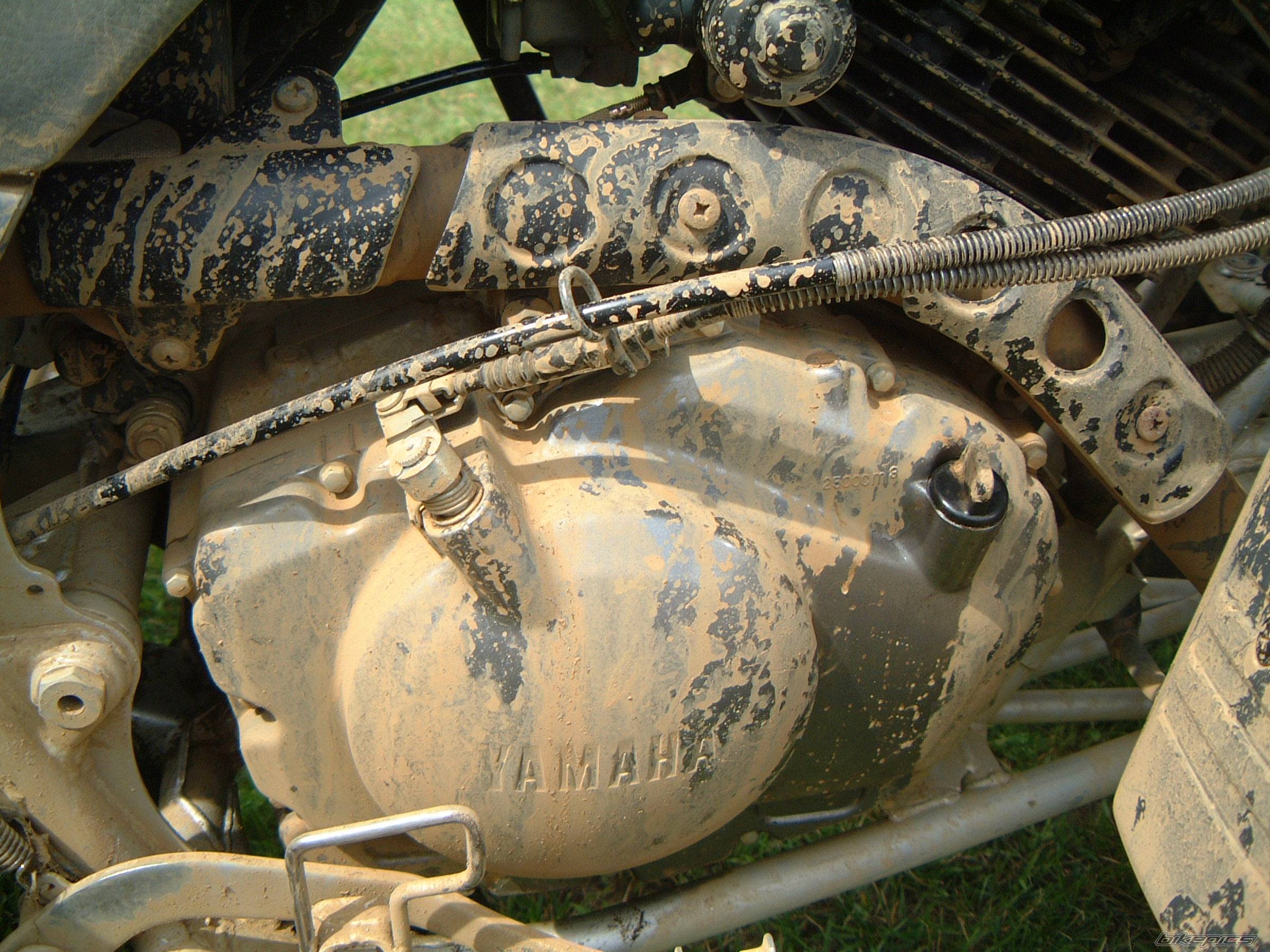 1994 YAMAHA WARRIOR | Picture 265712 motorcycle photo
