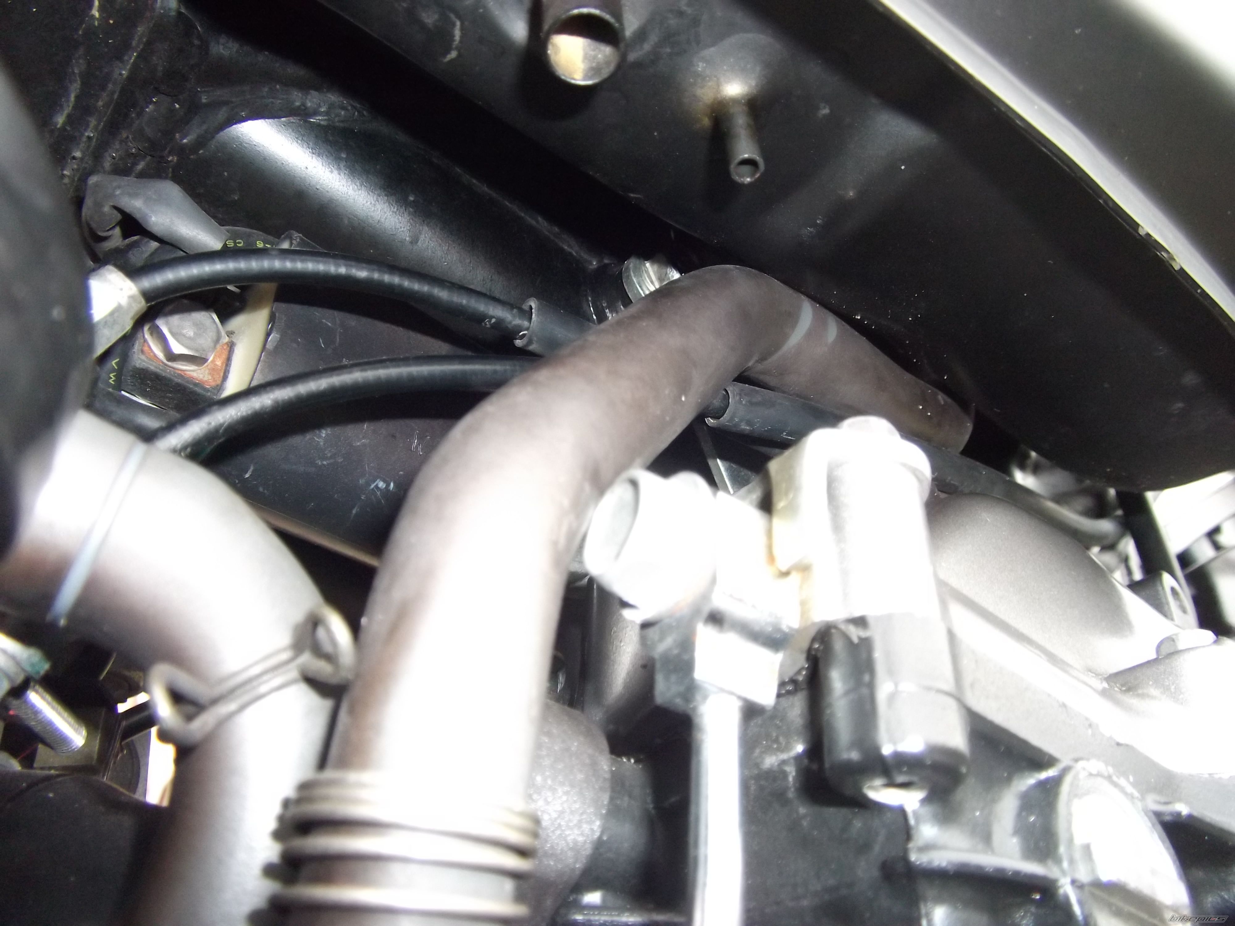 2005 HONDA FMX 650 FUNMOTO | Picture 2657790 motorcycle photo