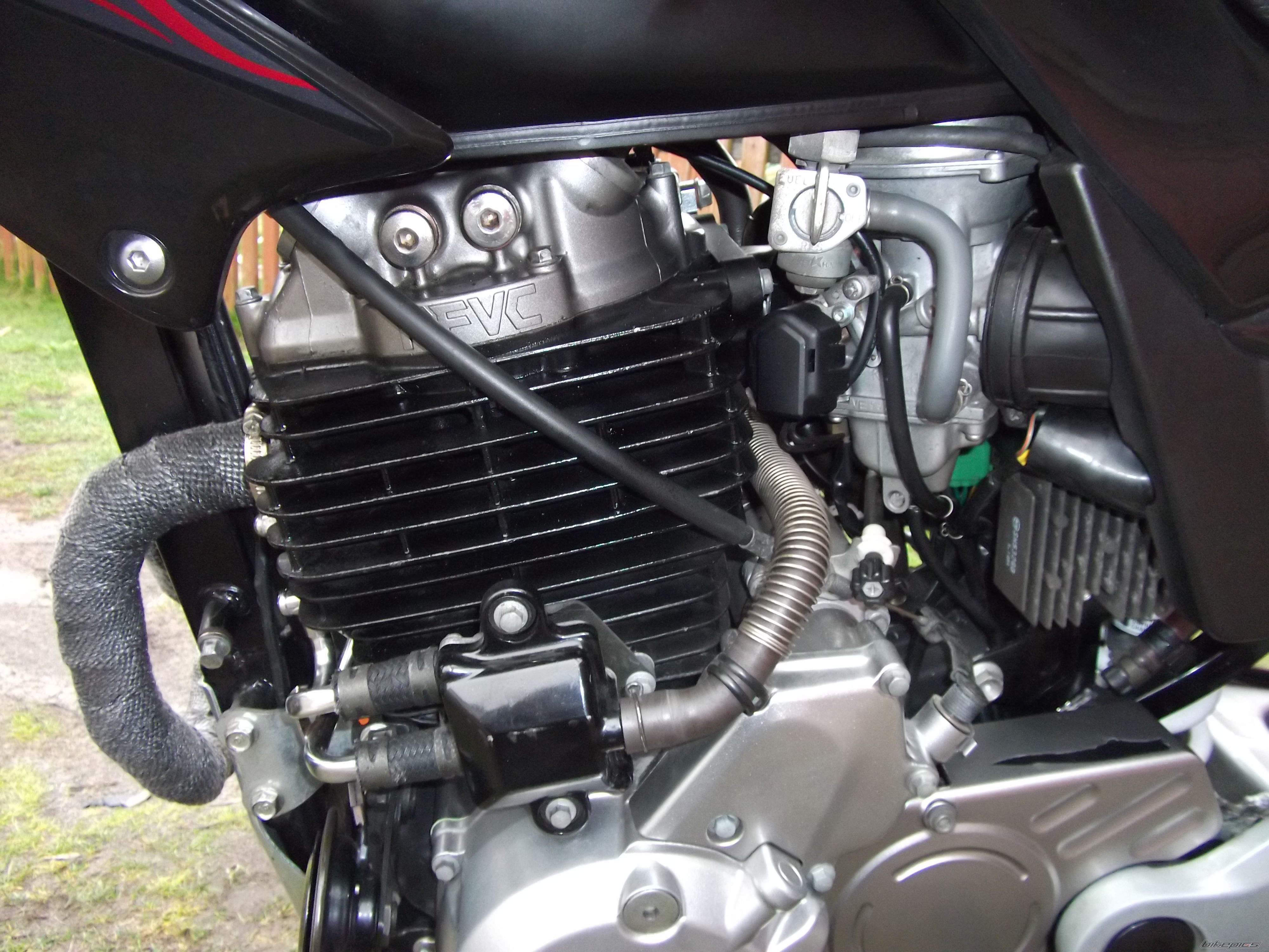 2005 HONDA FMX 650 FUNMOTO | Picture 2657793 motorcycle photo