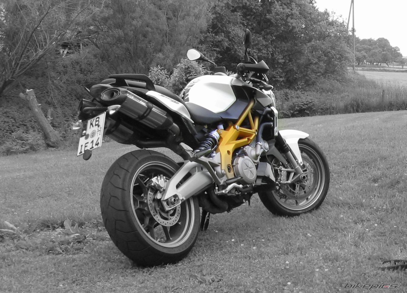 2008 APRILIA SHIVER 750 | Picture 2657871 motorcycle photo