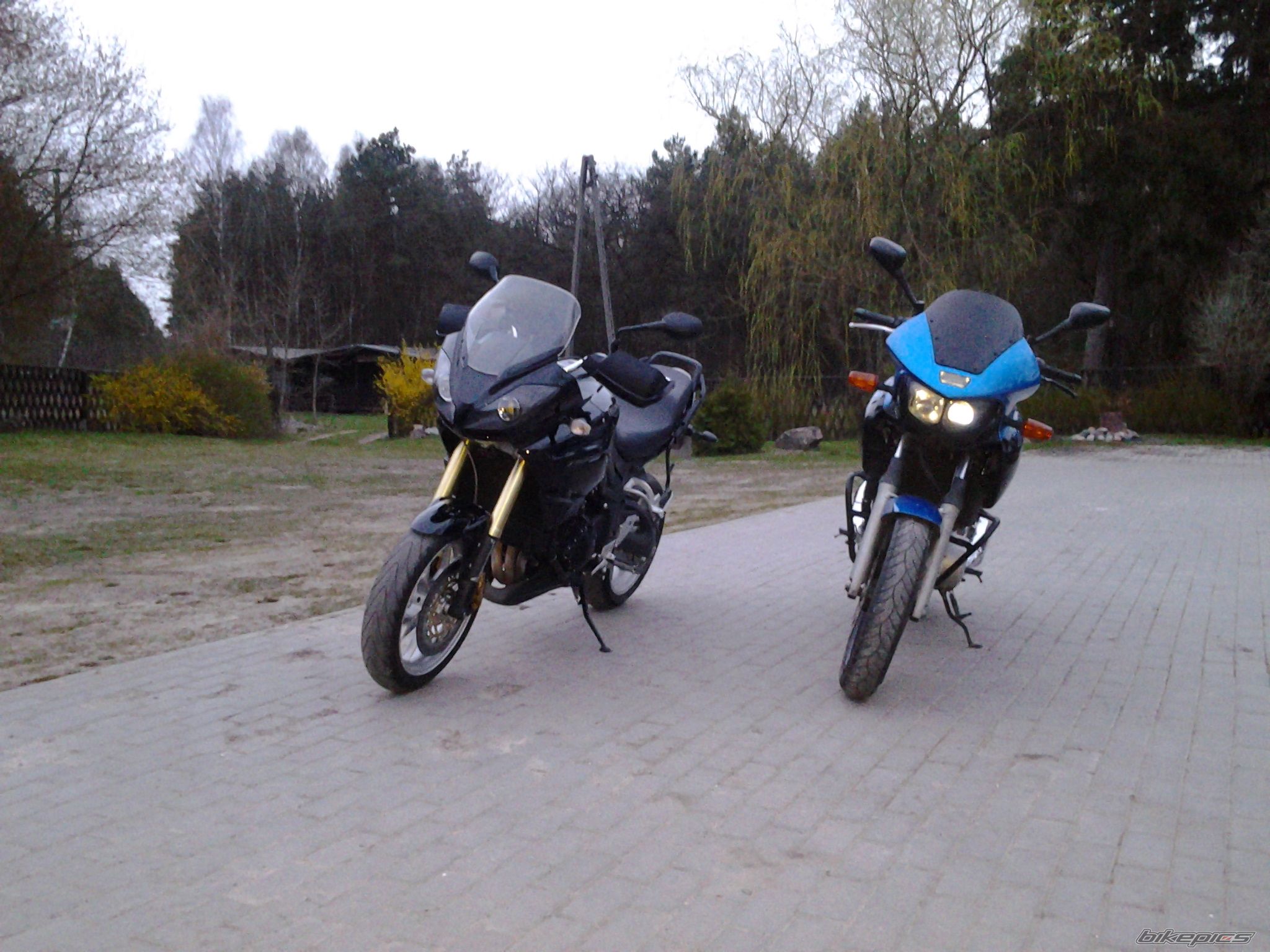 2007 TRIUMPH TIGER 1050 | Picture 2658012 motorcycle photo