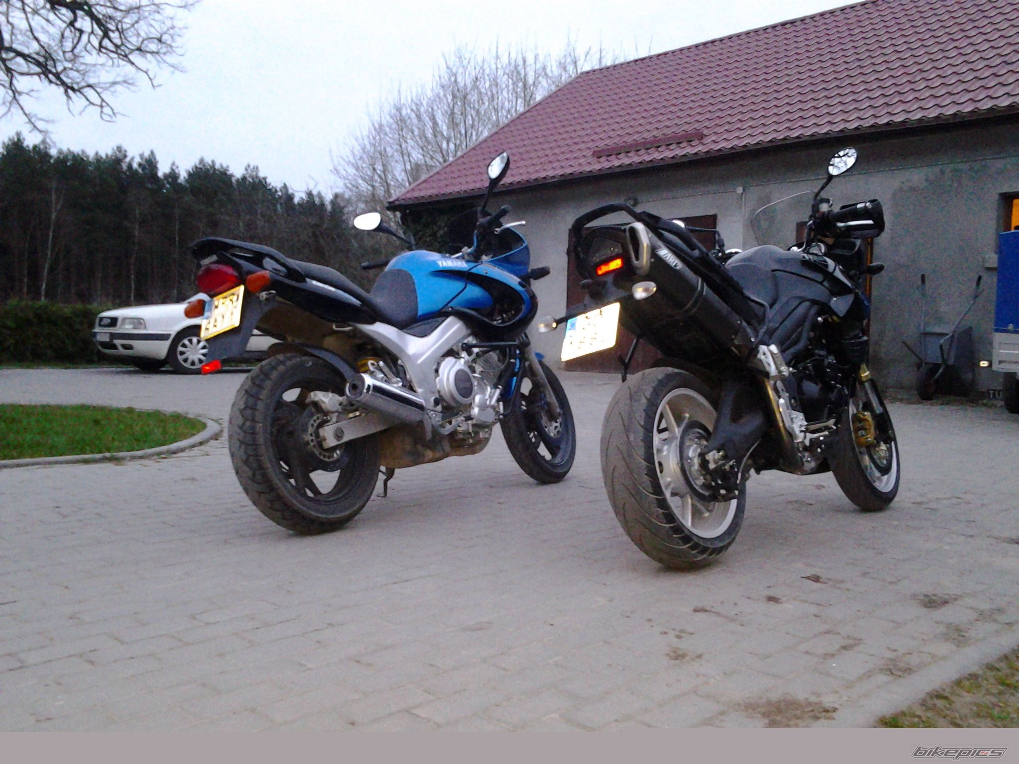 2007 TRIUMPH TIGER 1050 | Picture 2658013 motorcycle photo