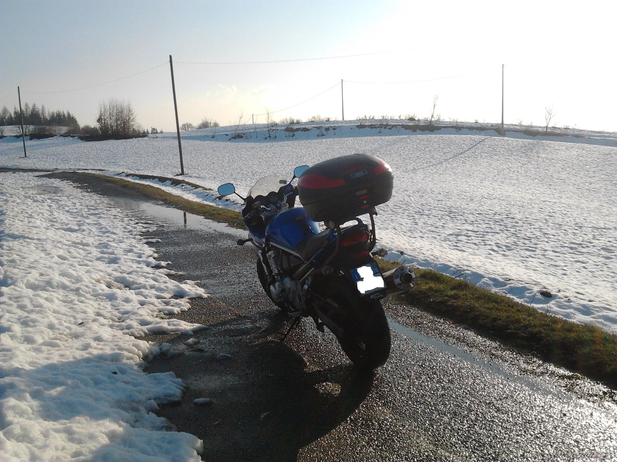 2007 SUZUKI BANDIT 650S | Picture 2659292 motorcycle photo