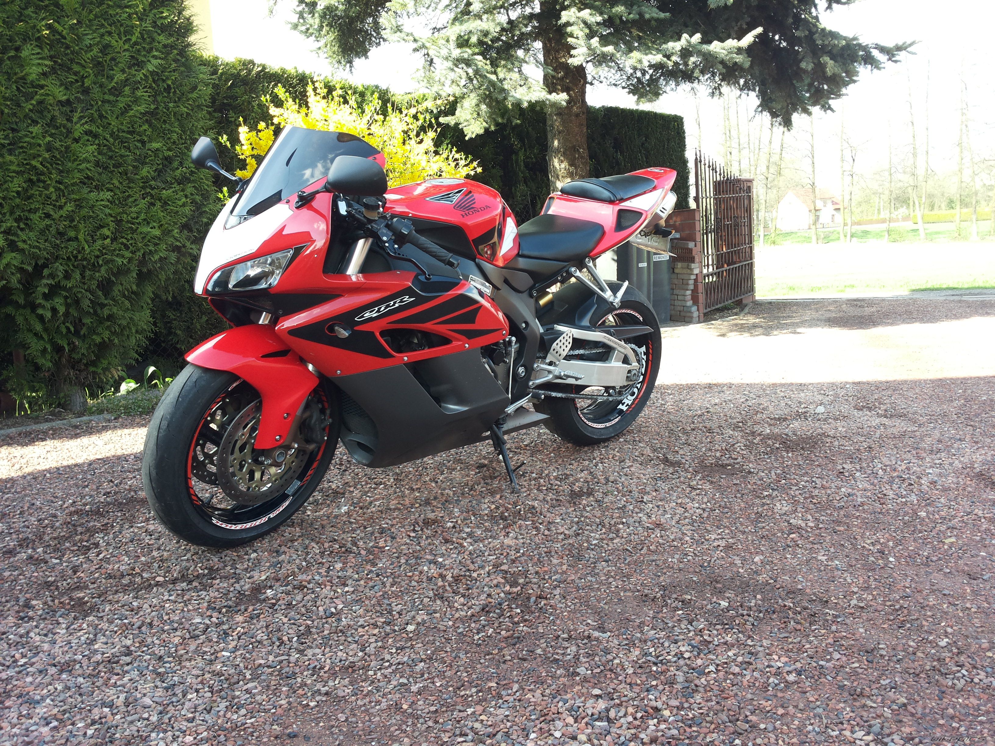 2004 HONDA CBR 1000  RR | Picture 2659346 motorcycle photo