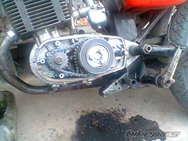 1987 MZ ETZ 150 | Picture 2660132 motorcycle photo
