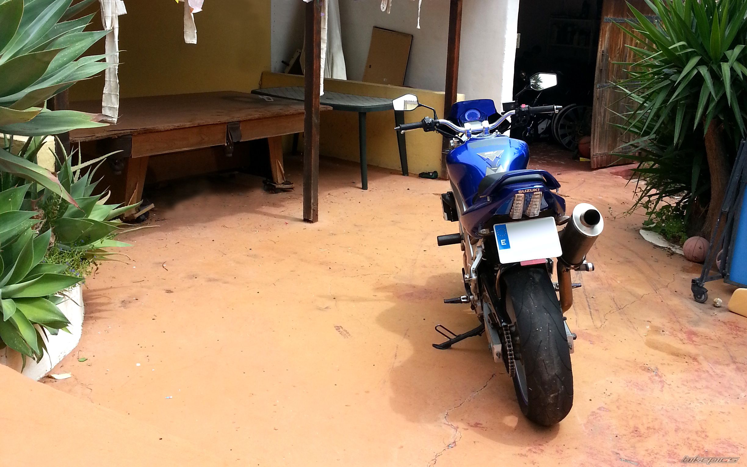 2003 SUZUKI SV 650 | Picture 2661095 motorcycle photo