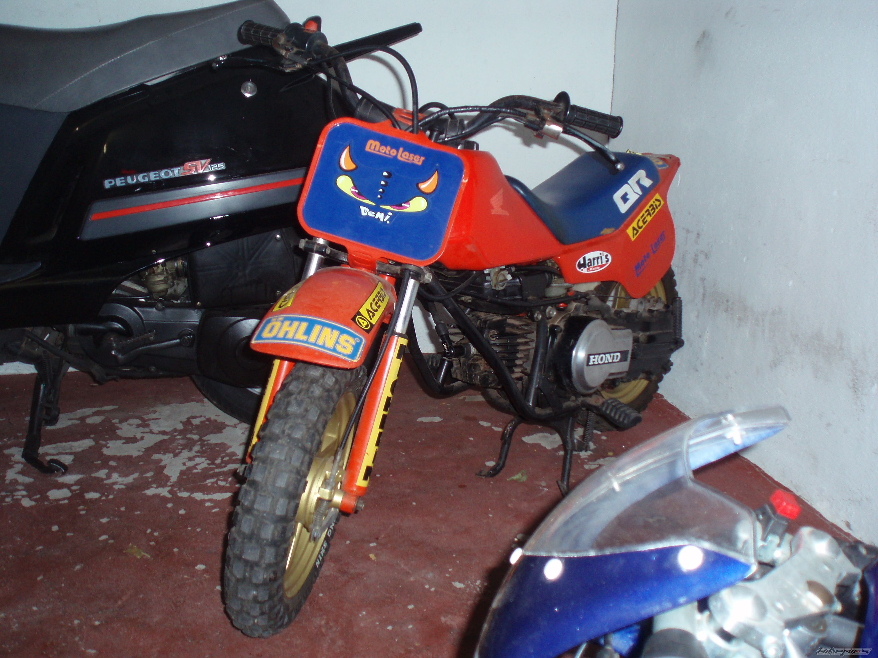 1984 HONDA QR 50 | Picture 2661098 motorcycle photo