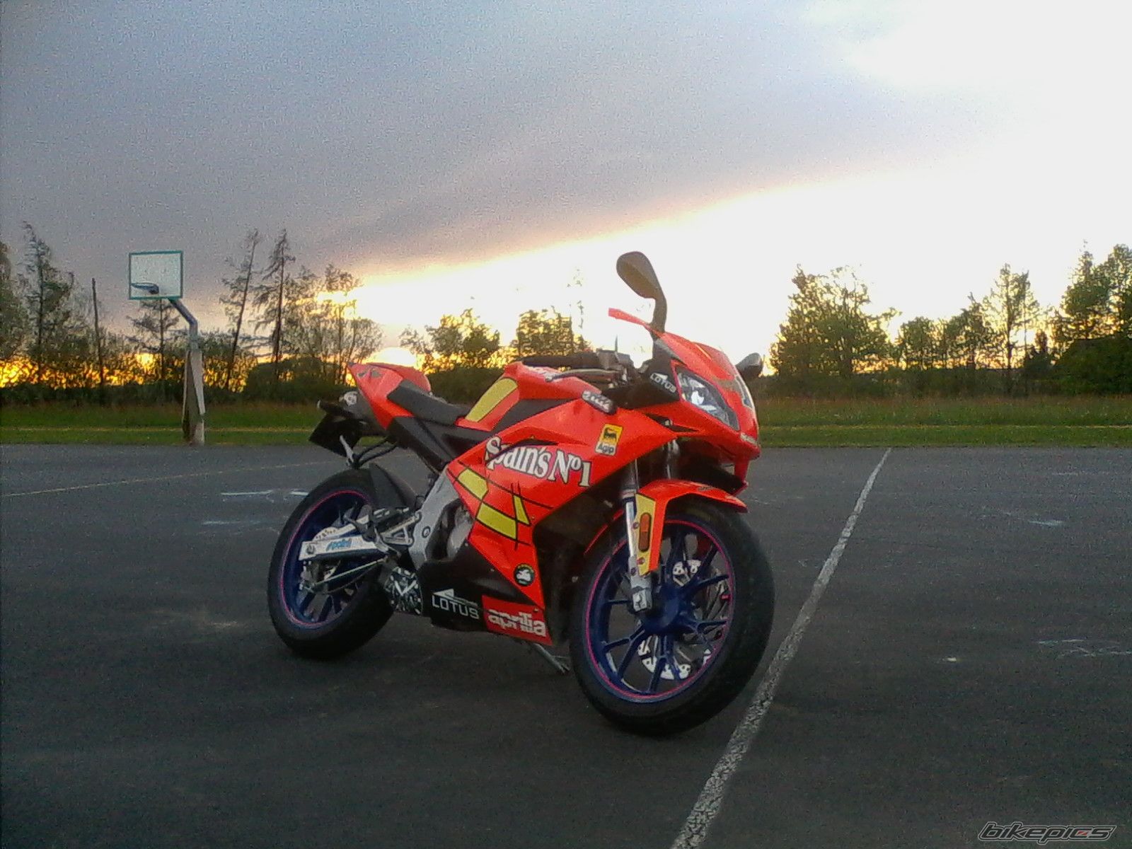 2009 APRILIA RS 50 | Picture 2661586 motorcycle photo