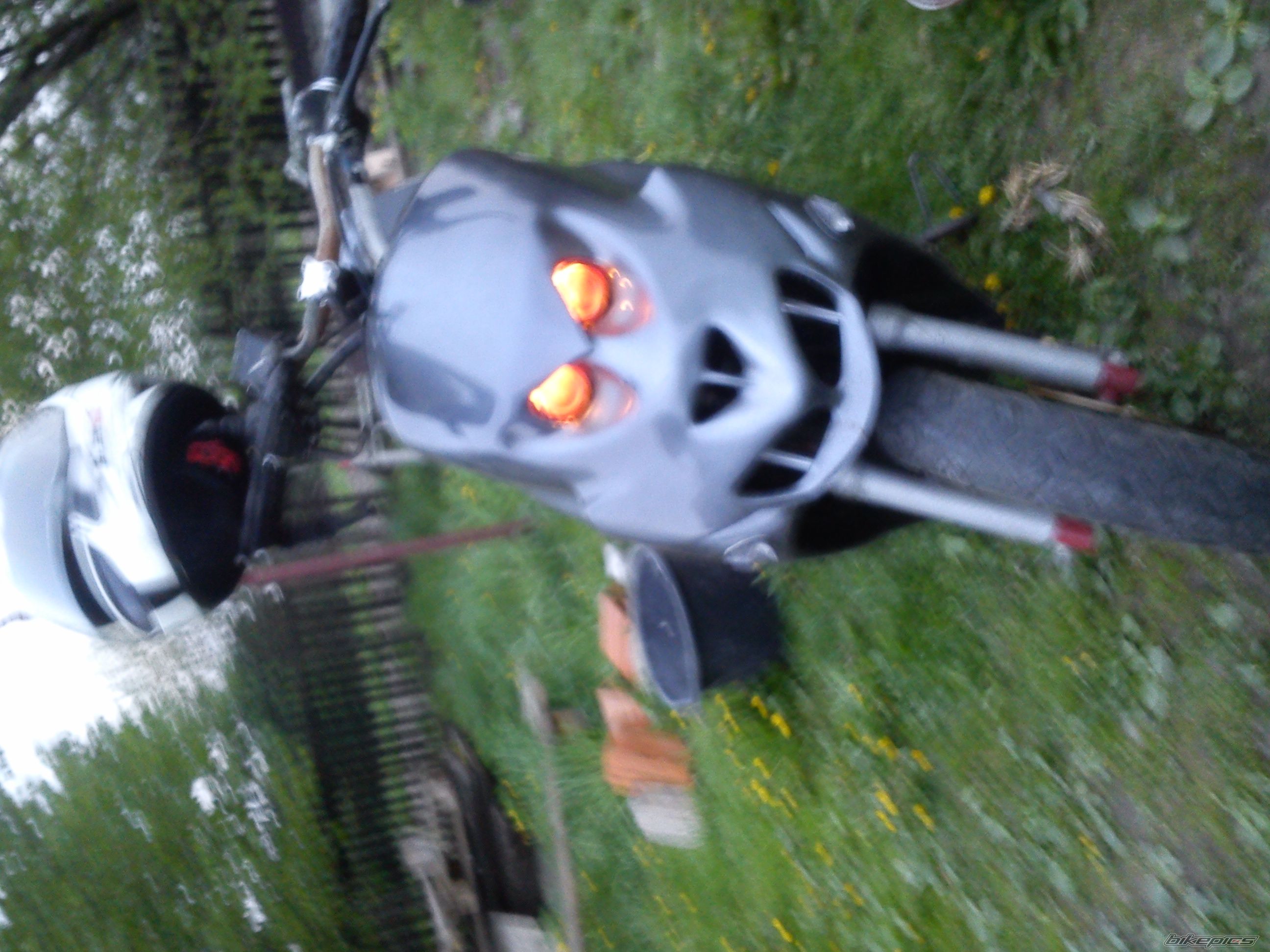    | Picture 2663350 motorcycle photo
