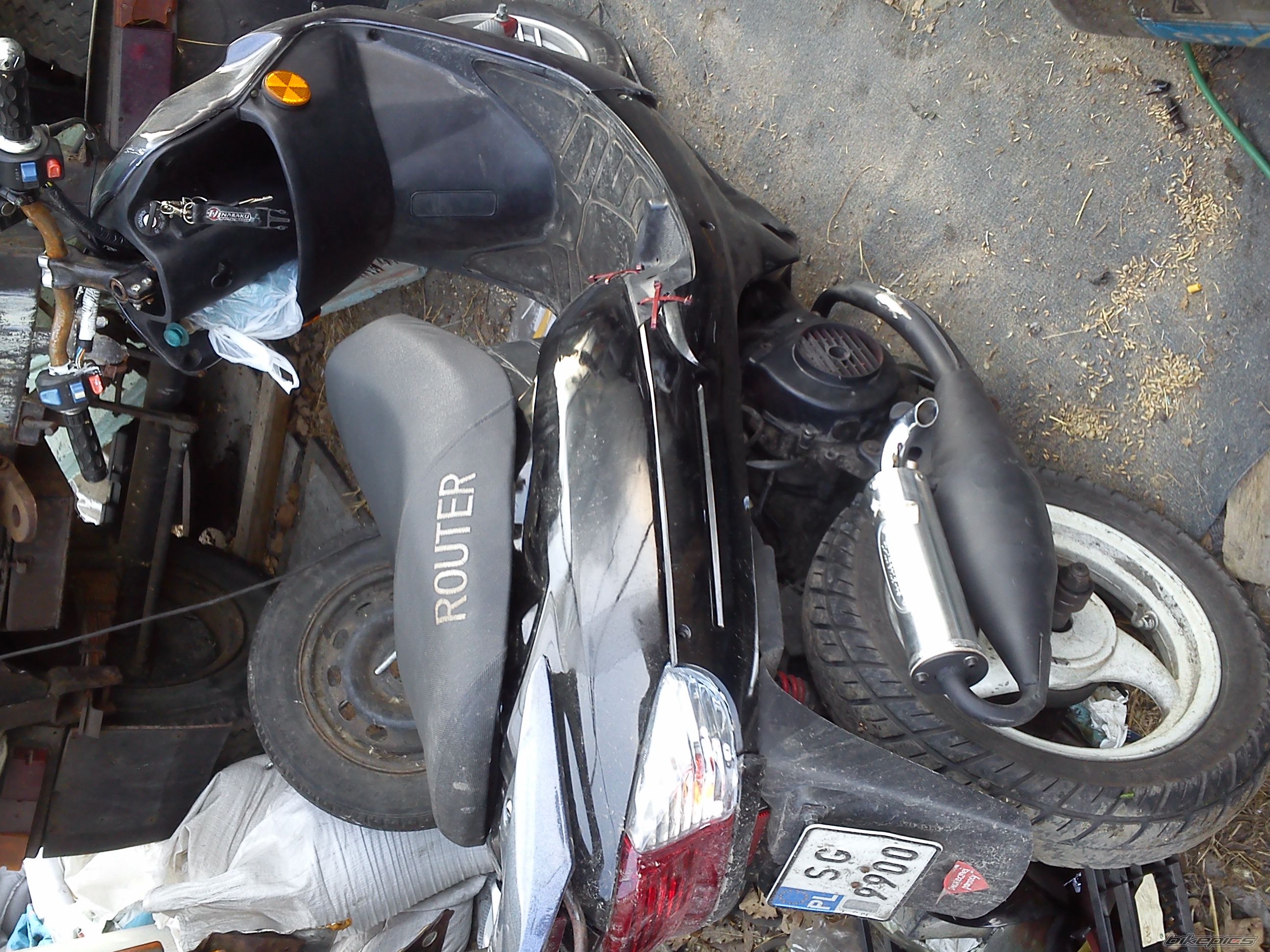    | Picture 2663356 motorcycle photo