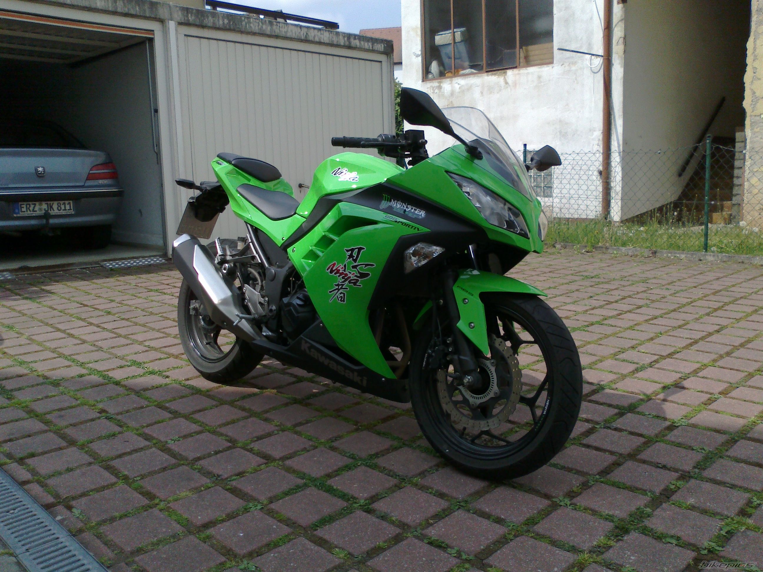 2013 KAWASAKI NINJA 300 | Picture 2663634 motorcycle photo