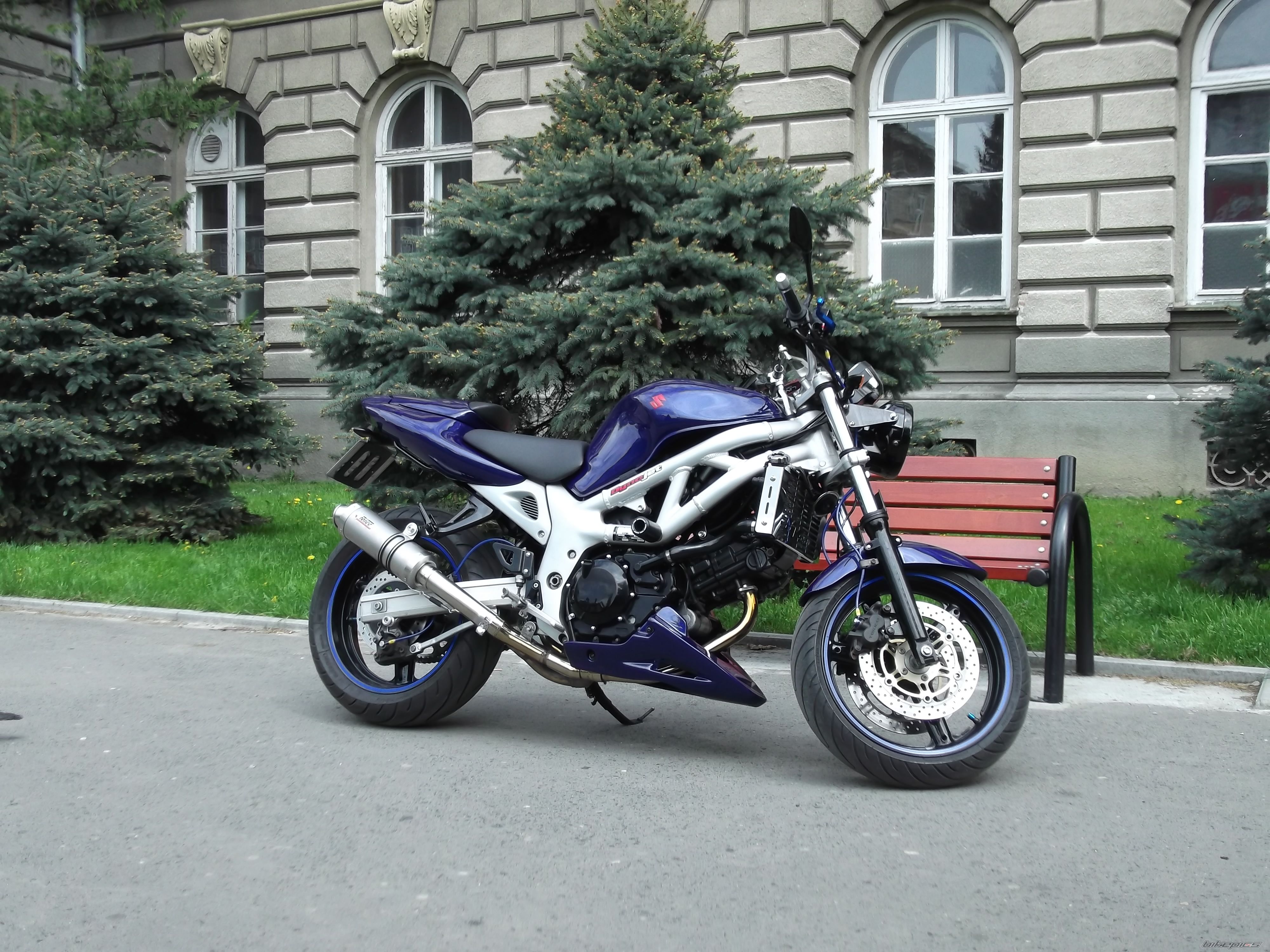 2000 SUZUKI SV 650 | Picture 2663661 motorcycle photo