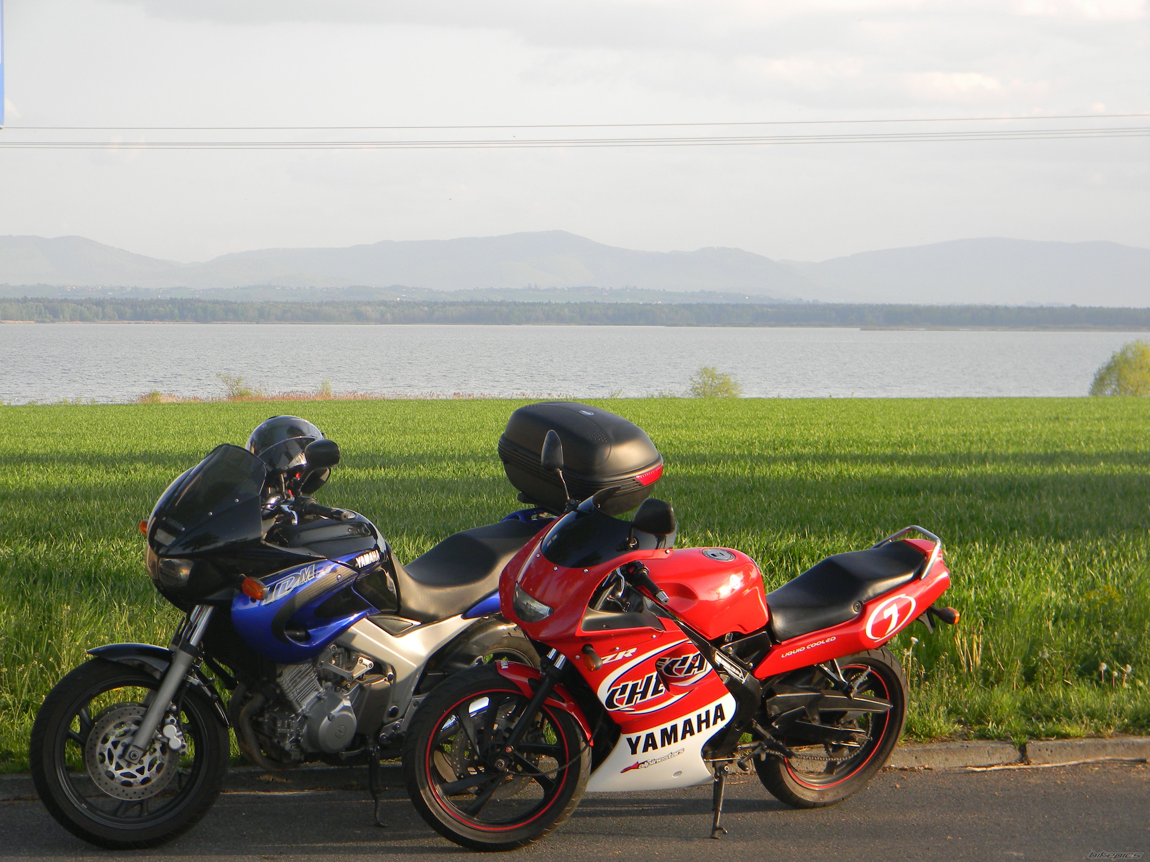 1998 YAMAHA TZR 50 | Picture 2663662 motorcycle photo