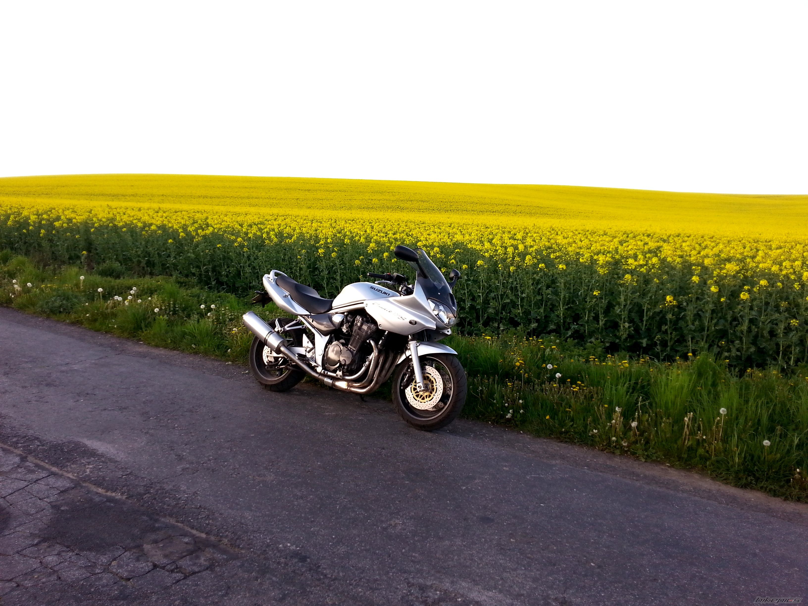 2001 SUZUKI BANDIT 1200S | Picture 2664194 motorcycle photo