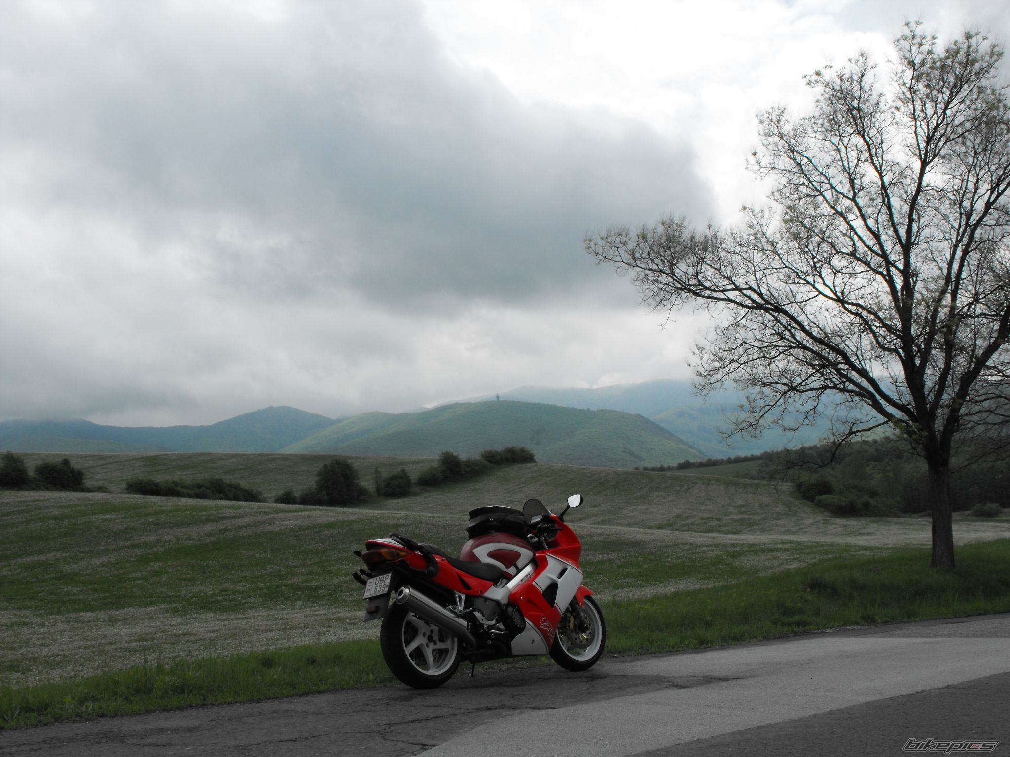 1999 HONDA VFR 800 | Picture 2664576 motorcycle photo