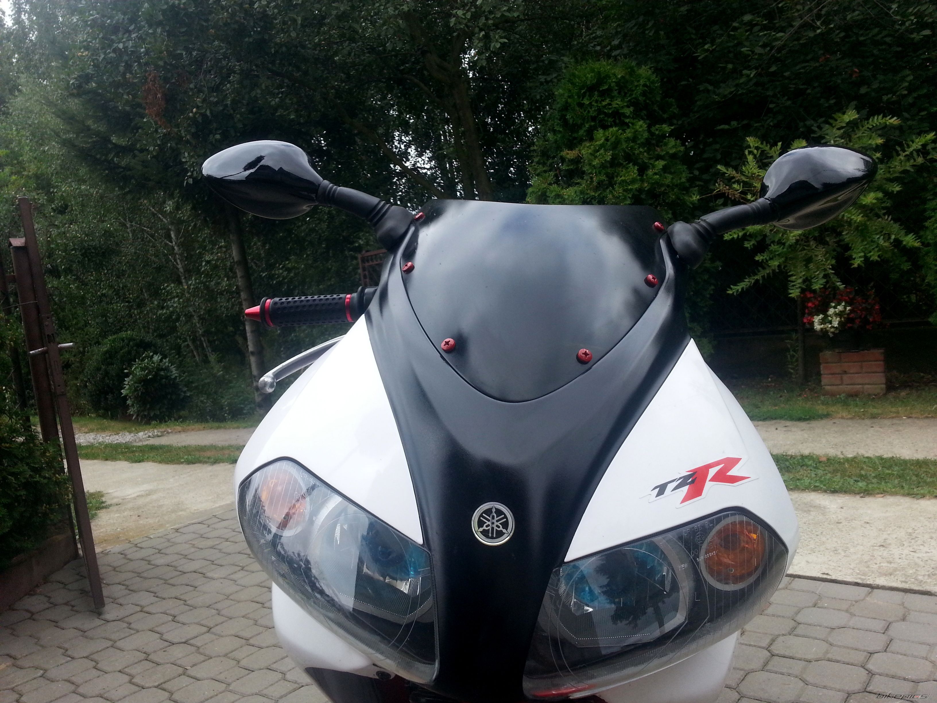 2007 YAMAHA TZR 50 | Picture 2665144 motorcycle photo