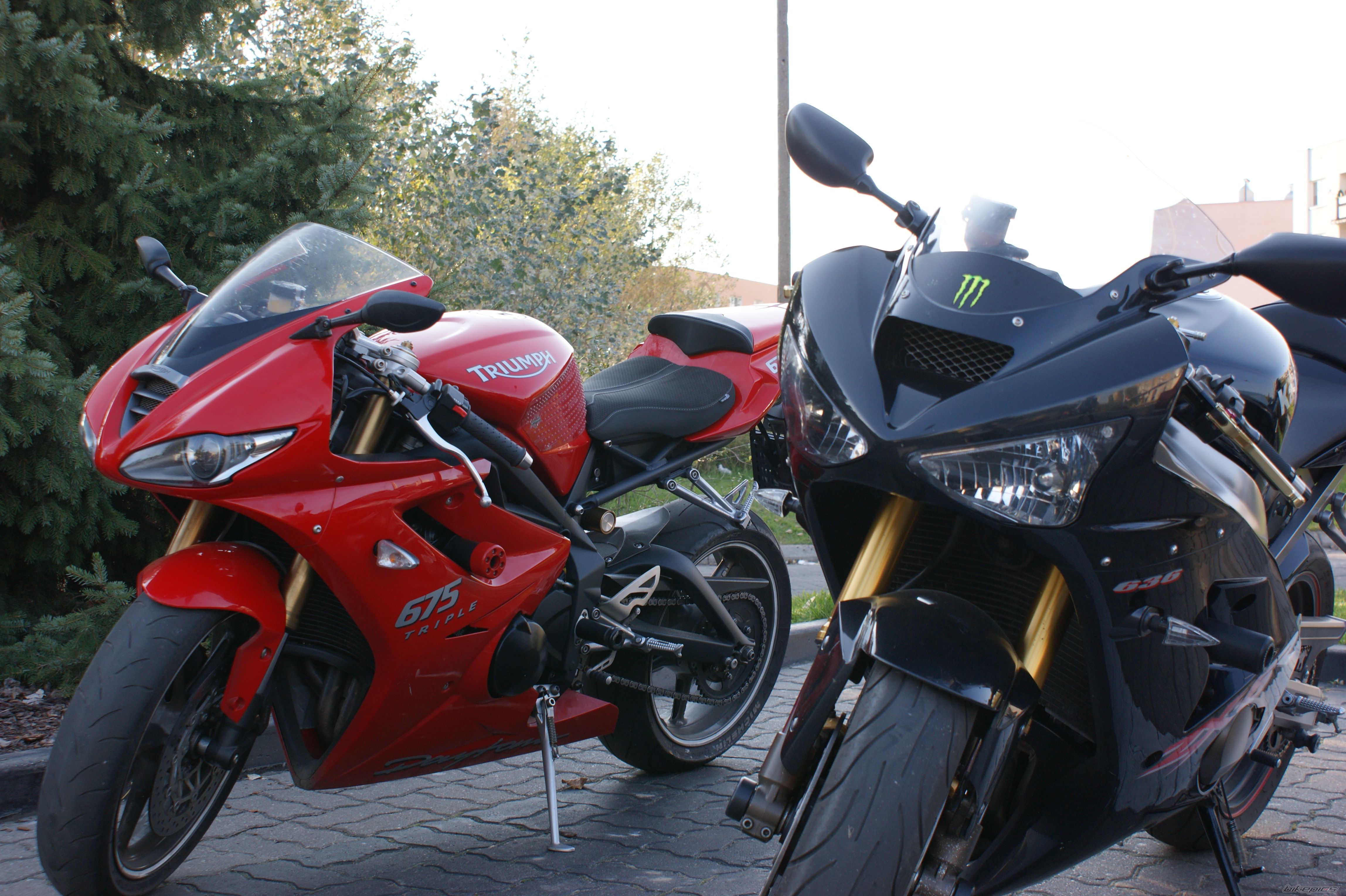 2010 TRIUMPH DAYTONA 675 | Picture 2665196 motorcycle photo