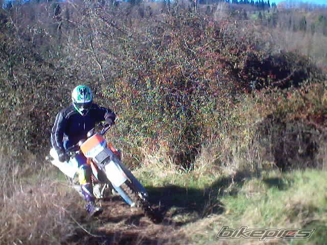 1996 HUSQVARNA WRE 125 | Picture 266524 motorcycle photo