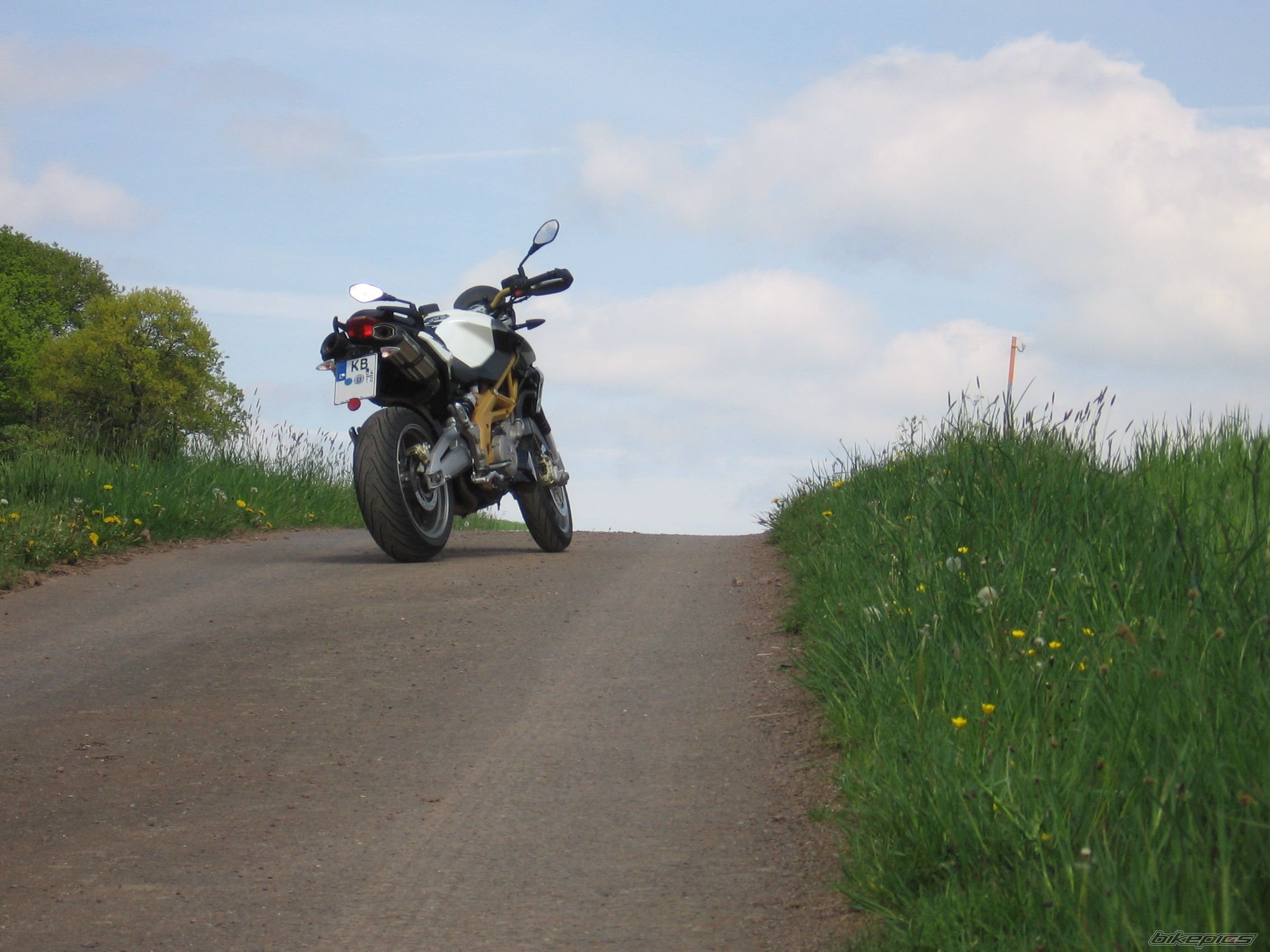 2008 APRILIA SHIVER 750 | Picture 2665436 motorcycle photo