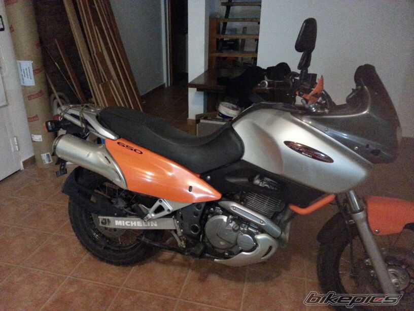 1998 SUZUKI XF 650 FREEWIND | Picture 2665719 motorcycle photo