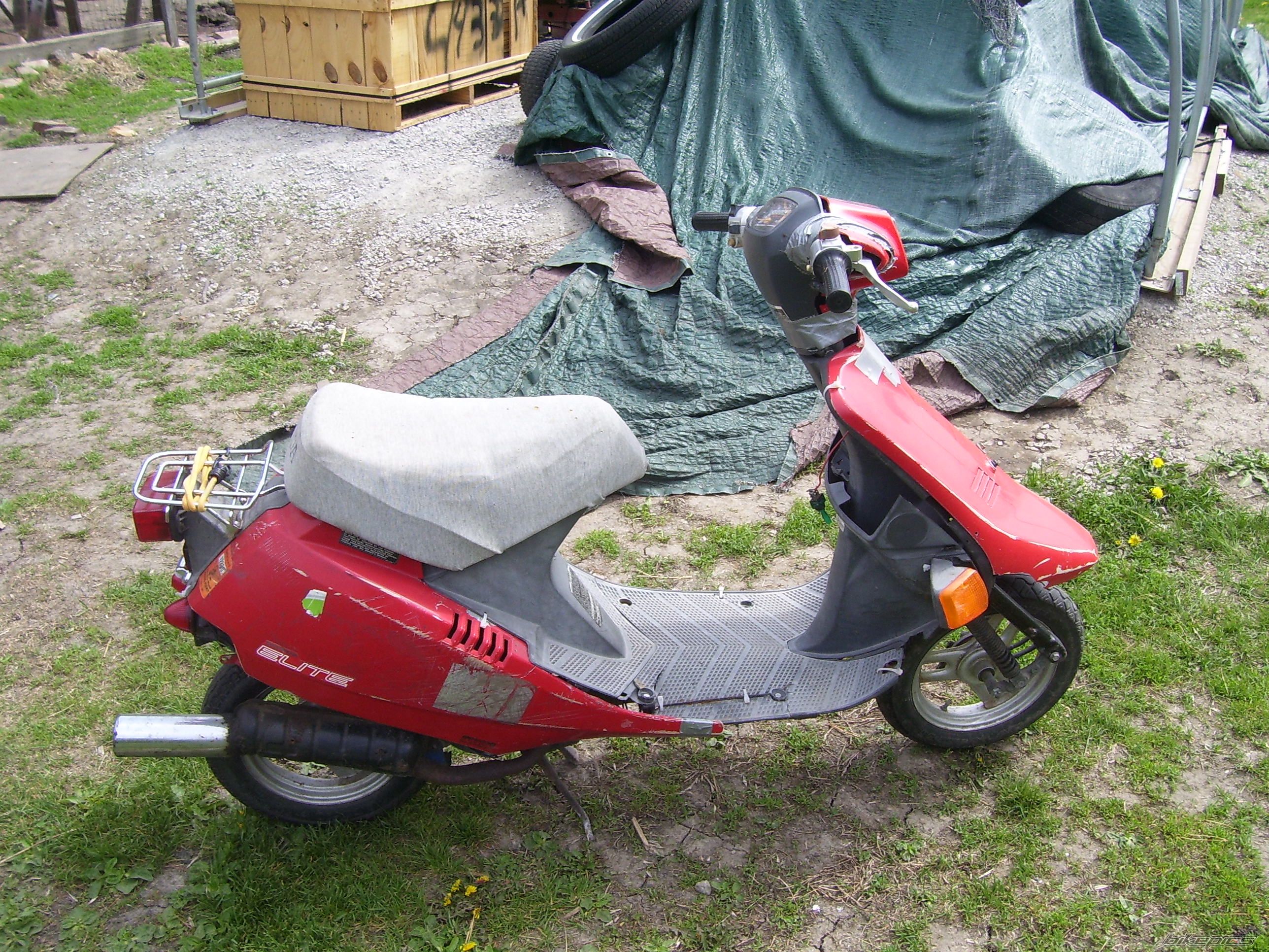 1987 HONDA ELITE | Picture 2666729 motorcycle photo
