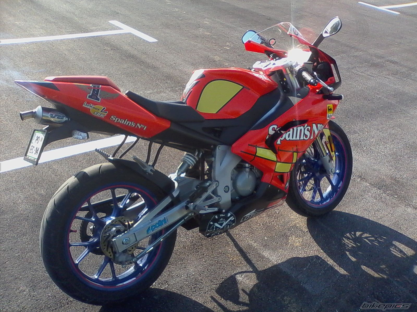 2009 APRILIA RS 50 | Picture 2666927 motorcycle photo