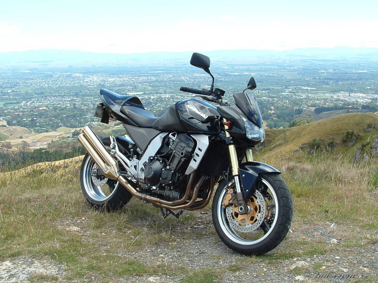 2004 KAWASAKI Z 1000 | Picture 266721 motorcycle photo