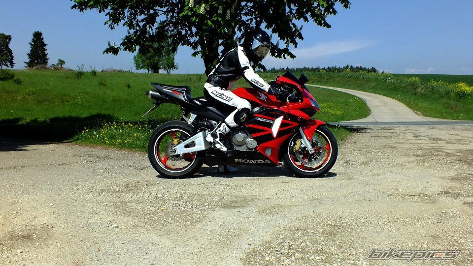 2004 HONDA 2004 CBR 600 | Picture 2667535 motorcycle photo
