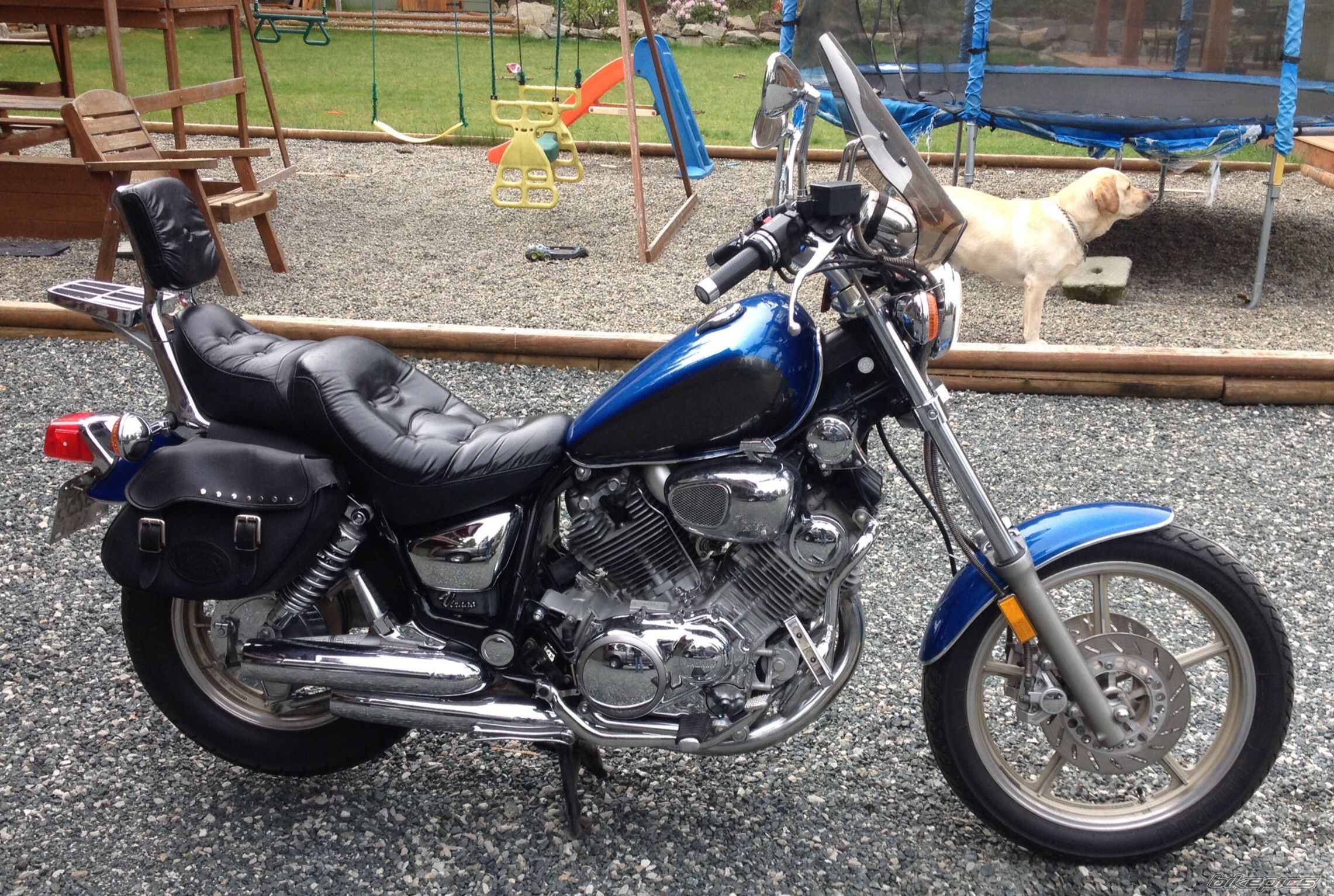 1995 YAMAHA VIRAGO XV750 | Picture 2667904 motorcycle photo