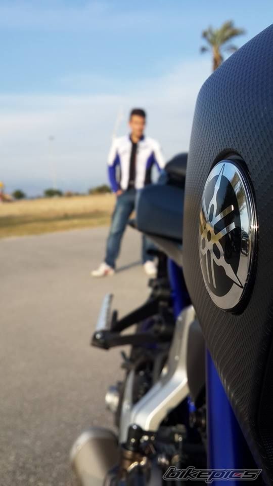 2014 YAMAHA MT 09 | Picture 2669718 motorcycle photo