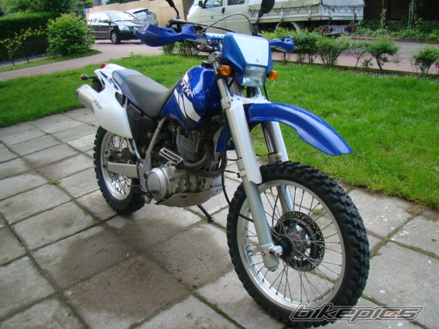 2004 YAMAHA TT600E | Picture 2669736 motorcycle photo