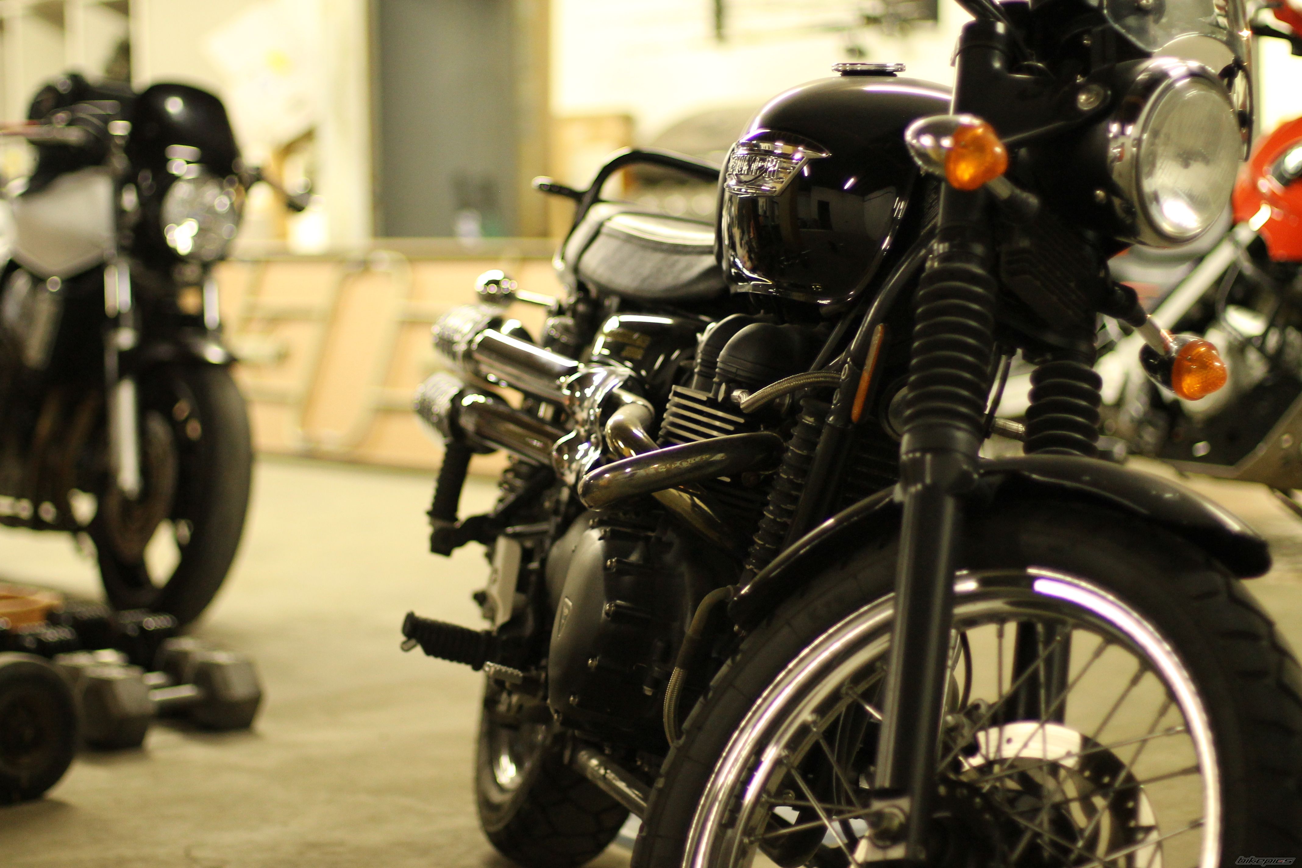 2010 TRIUMPH SCRAMBLER | Picture 2669838 motorcycle photo