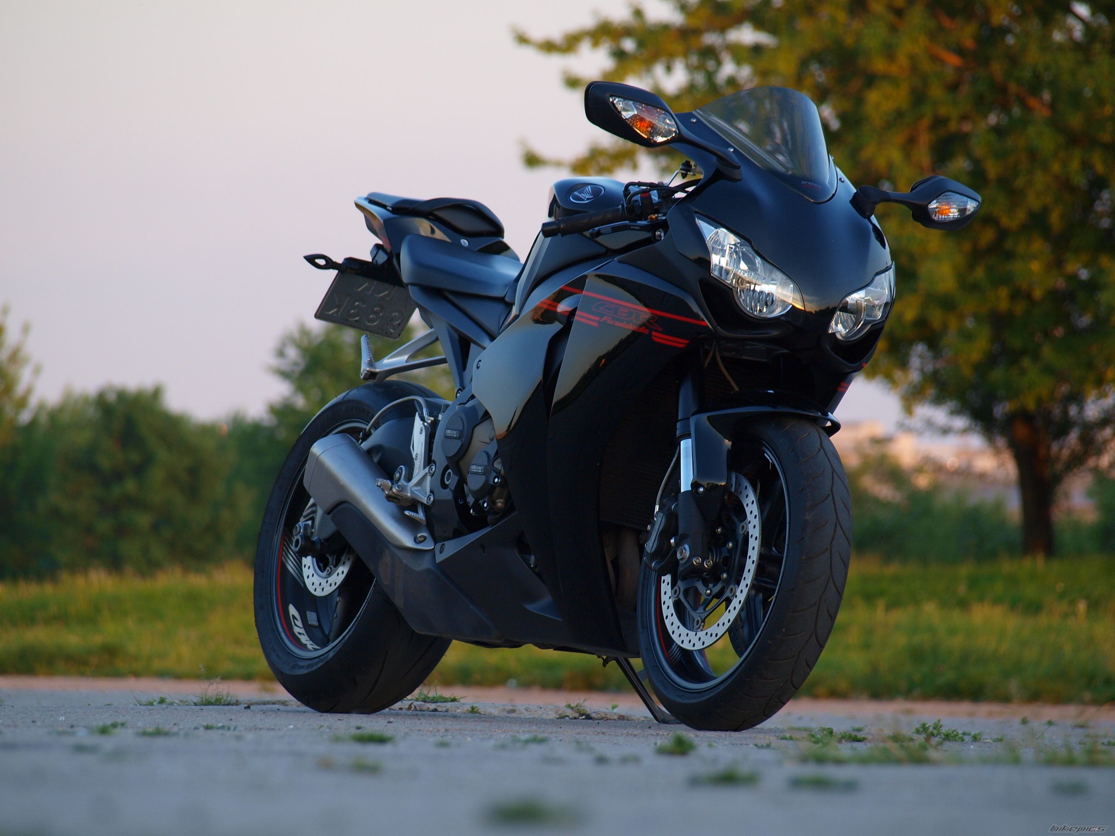 2008 HONDA CBR 1000  RR | Picture 2670193 motorcycle photo