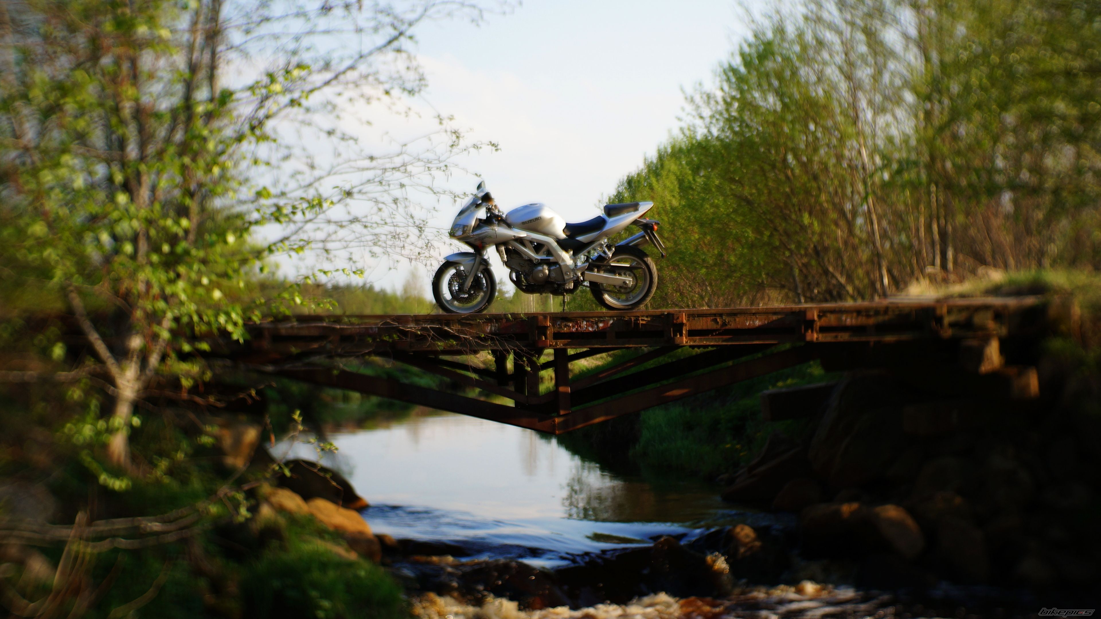 2003 SUZUKI SV650S | Picture 2671070 motorcycle photo