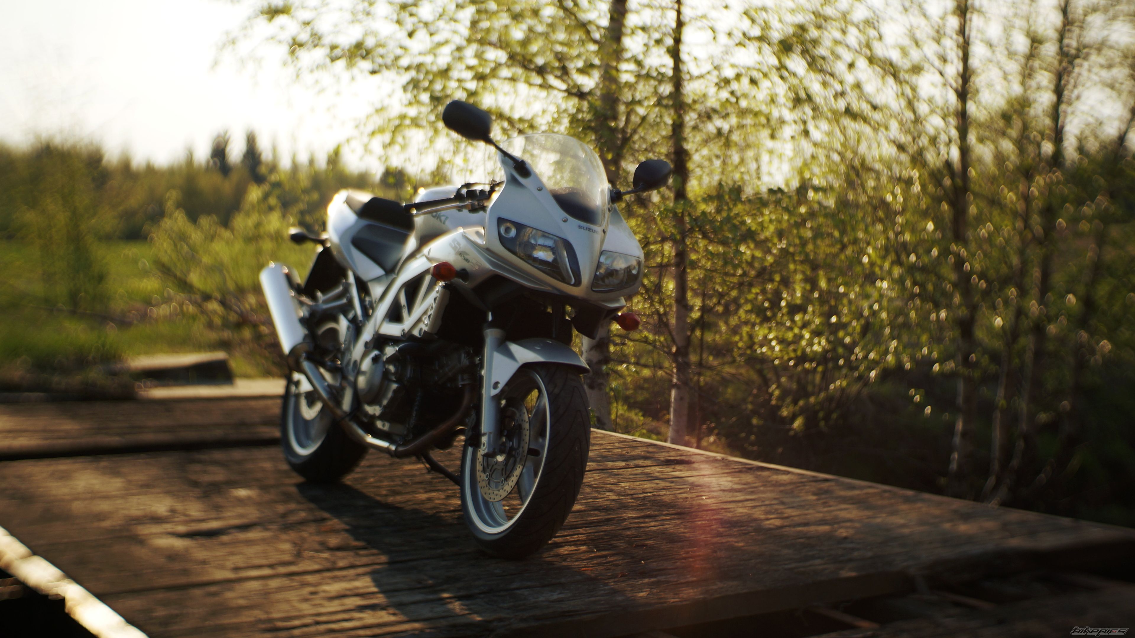 2003 SUZUKI SV650S | Picture 2671073 motorcycle photo