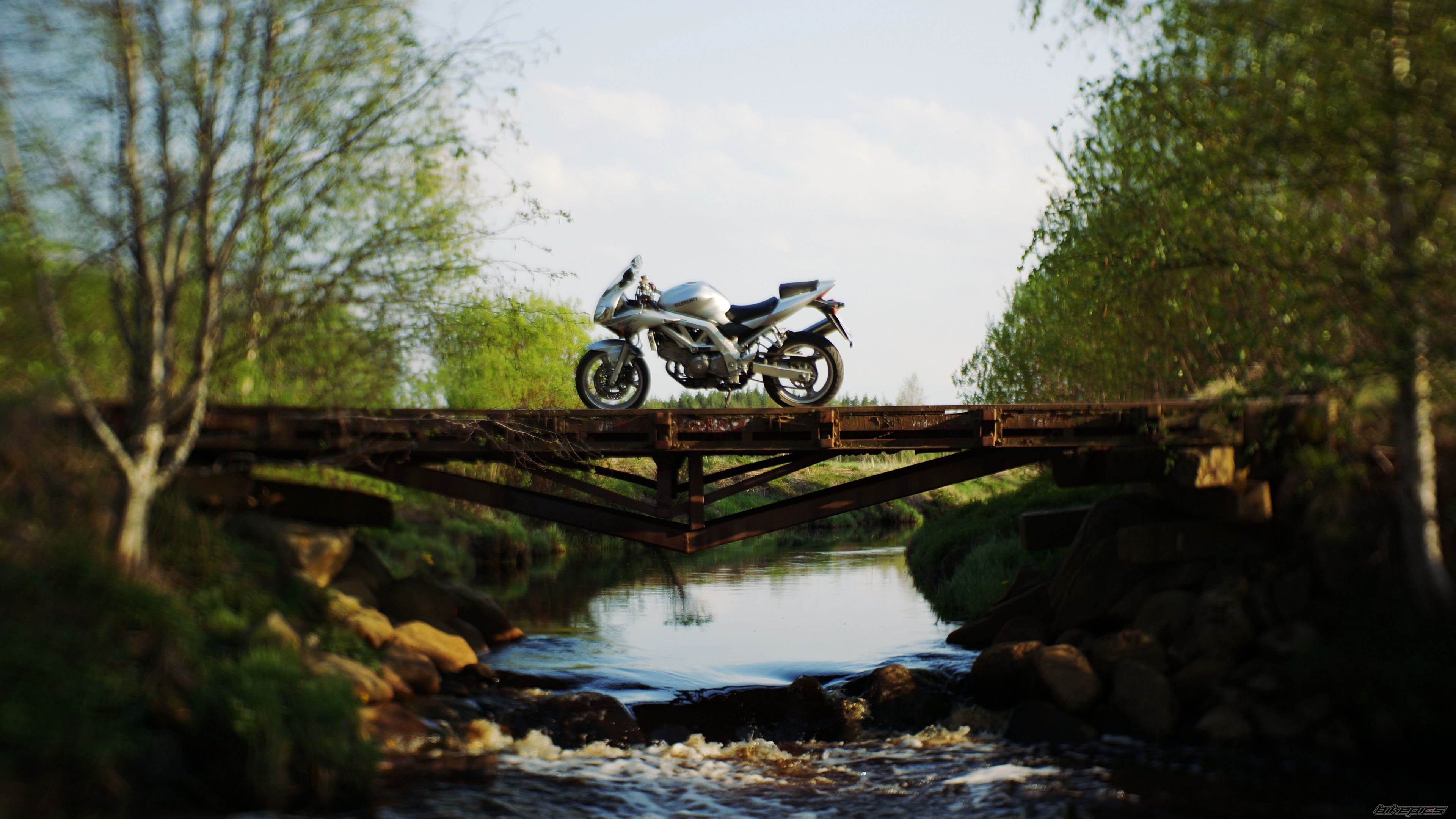 2003 SUZUKI SV650S | Picture 2671082 motorcycle photo