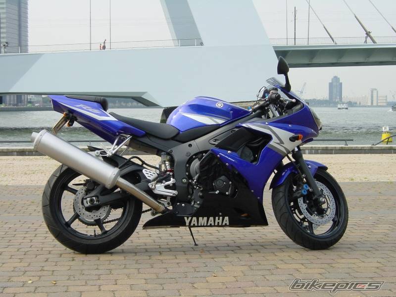 2004 YAMAHA YZF R6 | Picture 267158 motorcycle photo