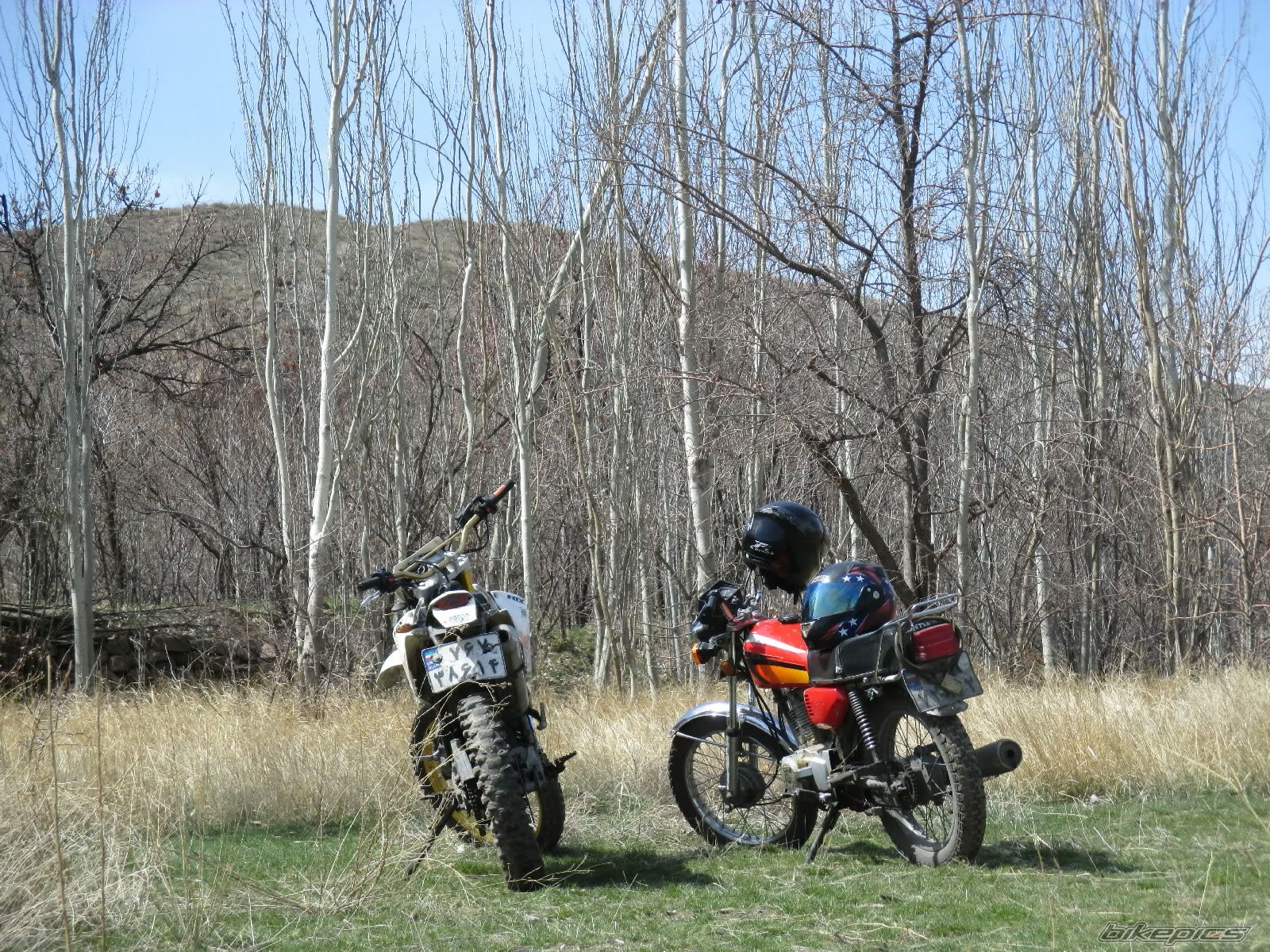 2012 KTM 250 SX | Picture 2672694 motorcycle photo