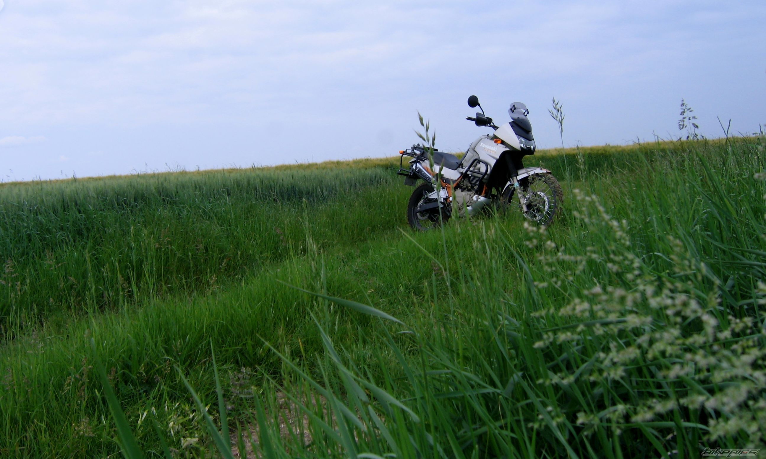 2005 KAWASAKI KLE 500 | Picture 2672857 motorcycle photo