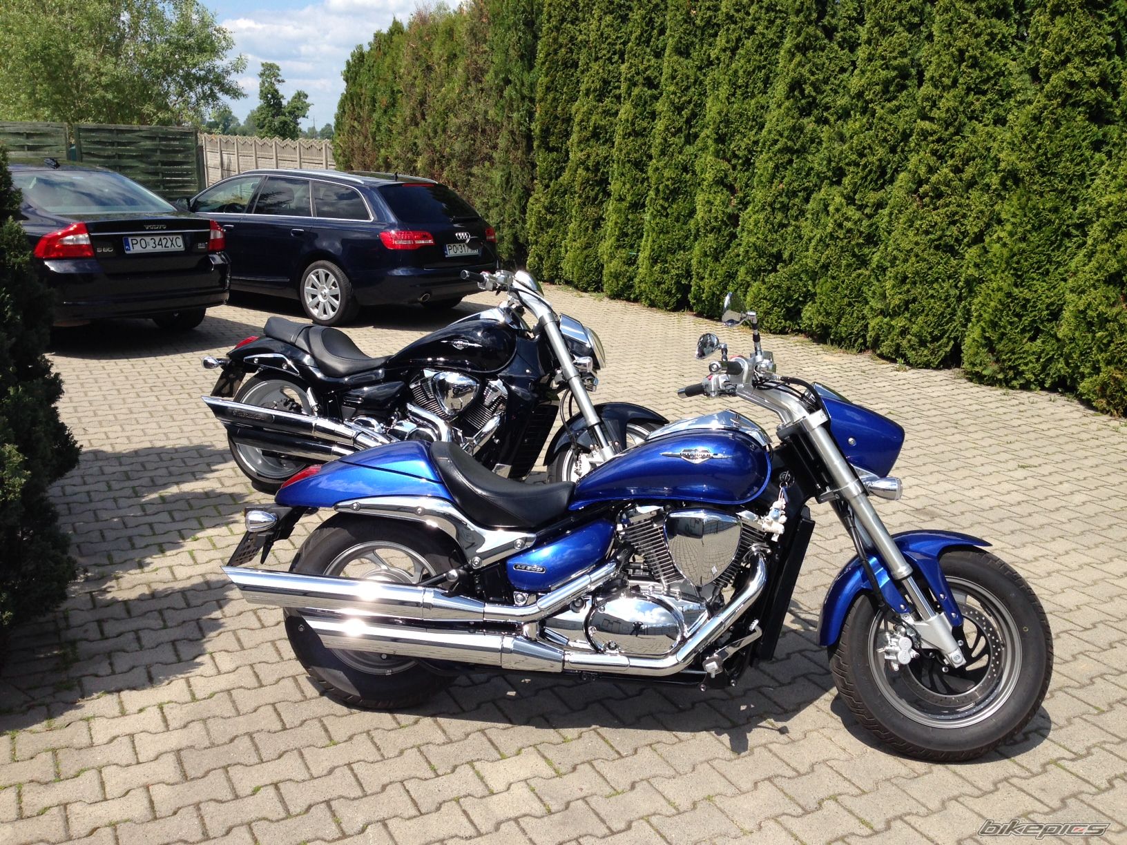    | Picture 2673423 motorcycle photo