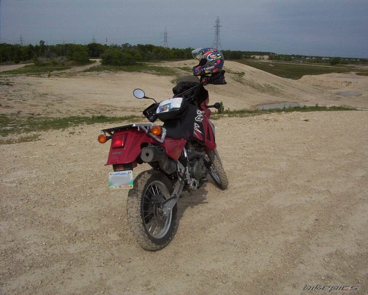 2004 KAWASAKI KLR 650 | Picture 267439 motorcycle photo