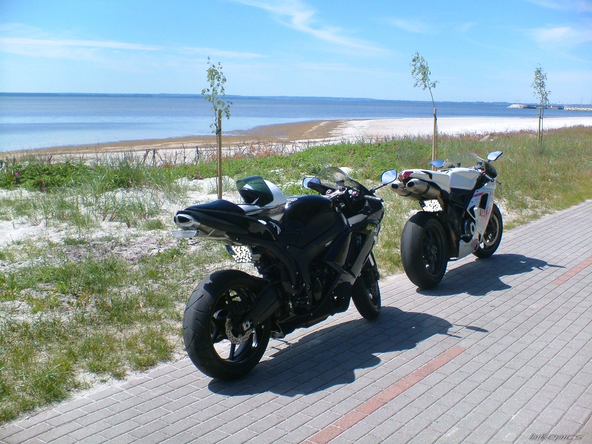 2009 DUCATI 1198 | Picture 2674576 motorcycle photo