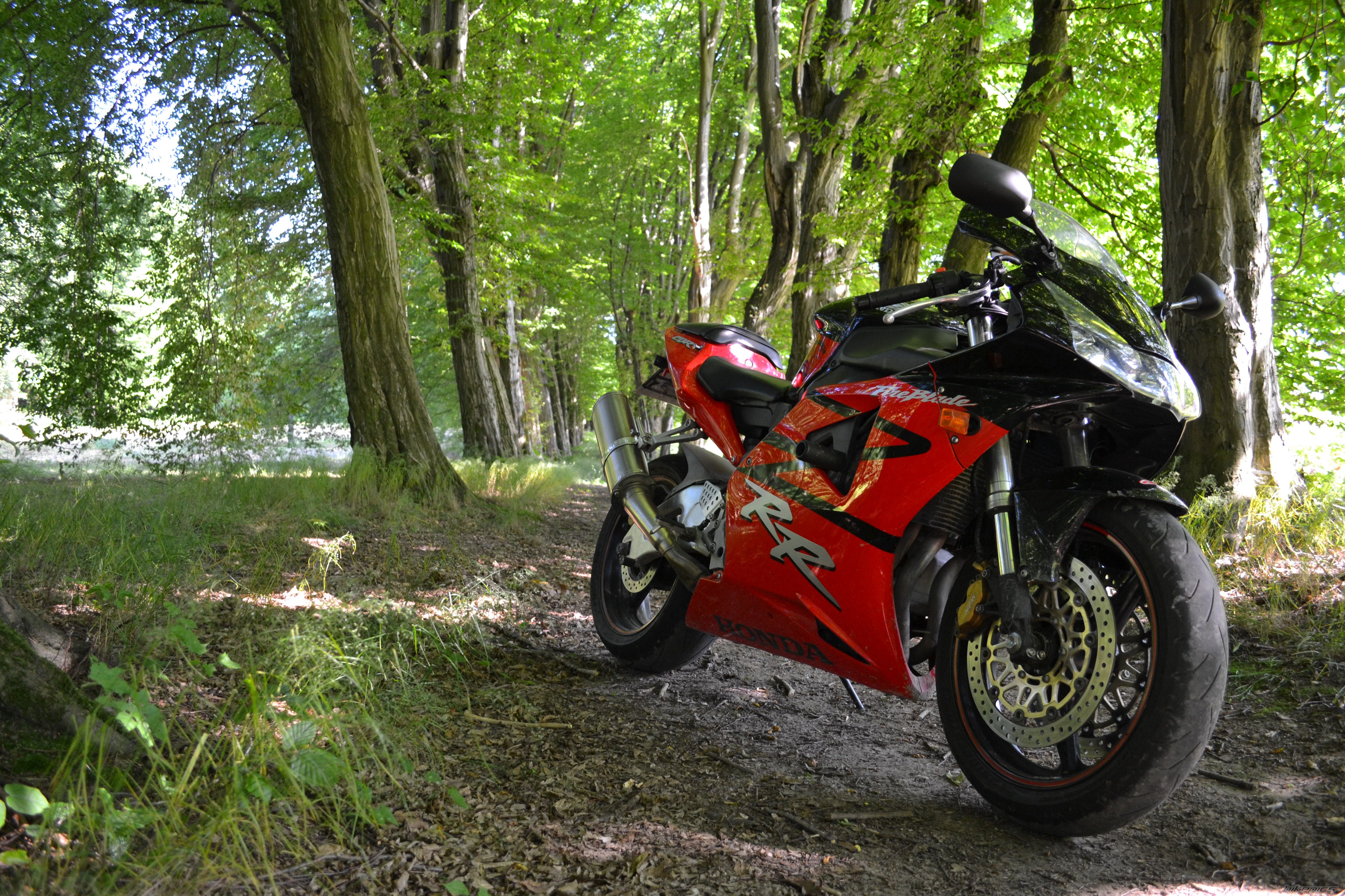 2003 HONDA CBR 954RR | Picture 2674764 motorcycle photo