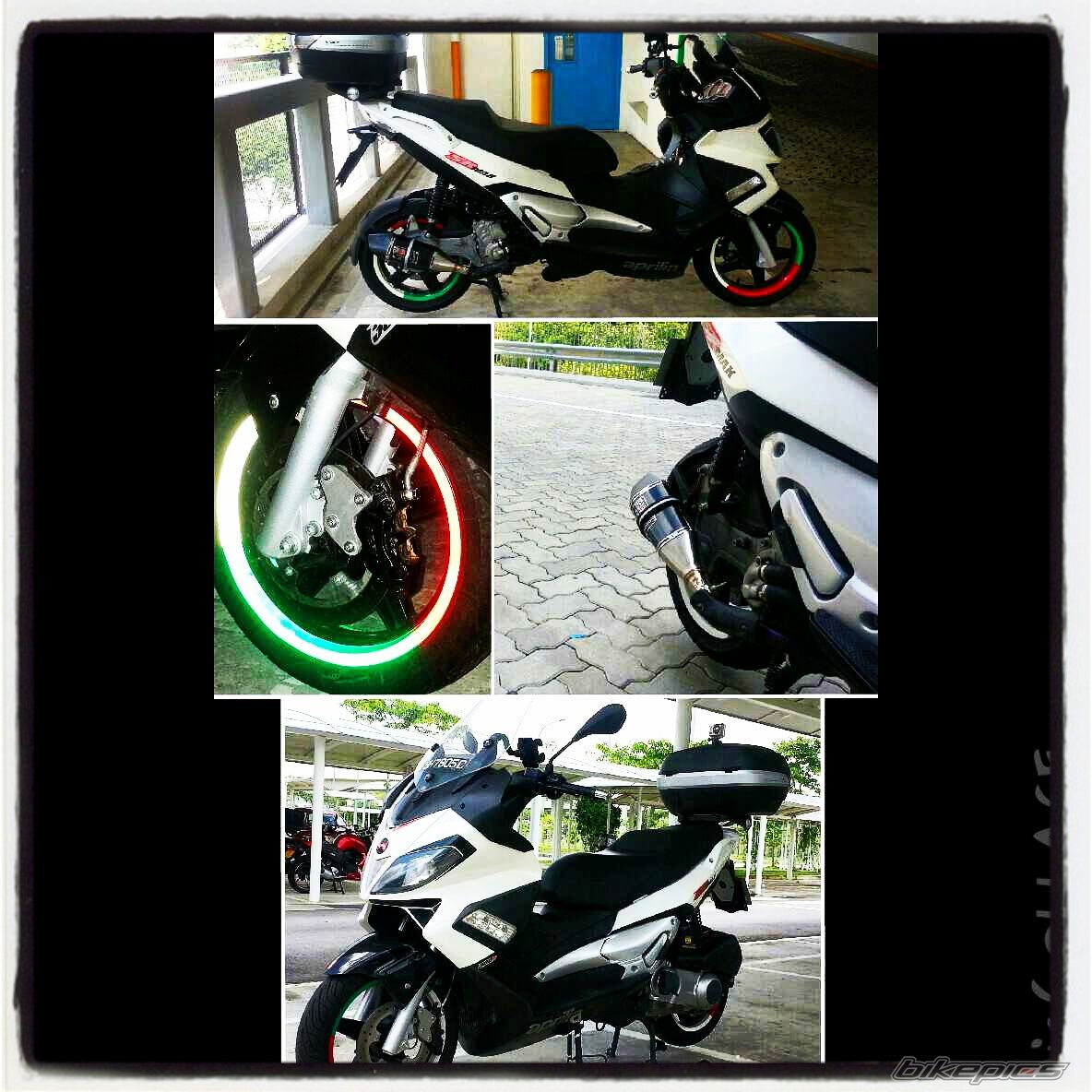 2013 APRILIA SR MAX 300 | Picture 2675109 motorcycle photo