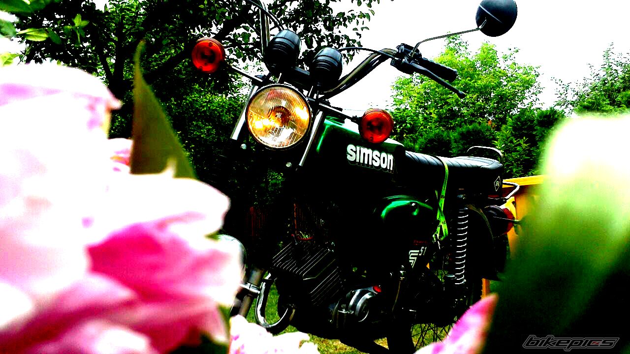 1983 SIMSON S51 ENDURO | Picture 2675541 motorcycle photo