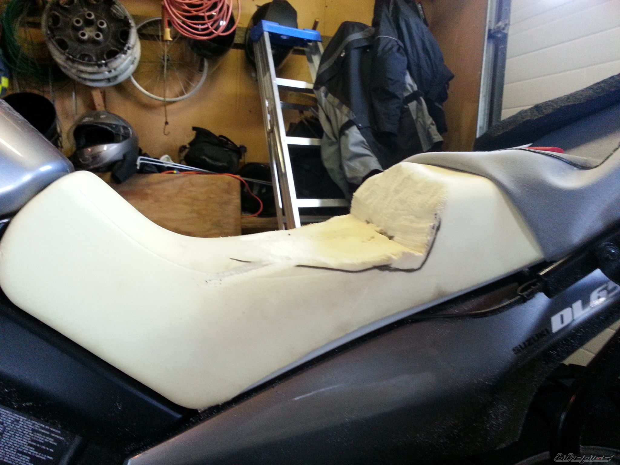 2009 SUZUKI DL 650 | Picture 2676461 motorcycle photo